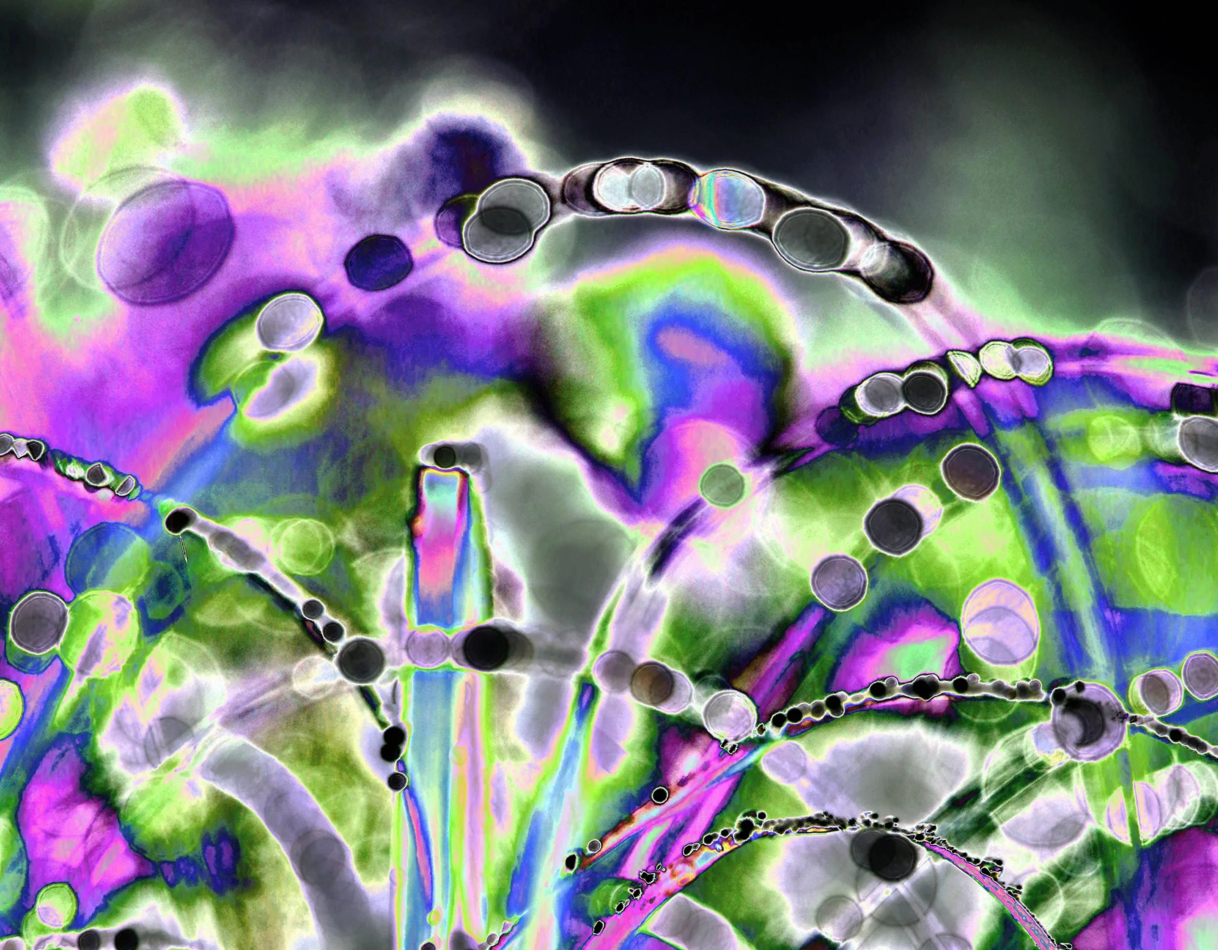 MORNING GRASS copy.jpg