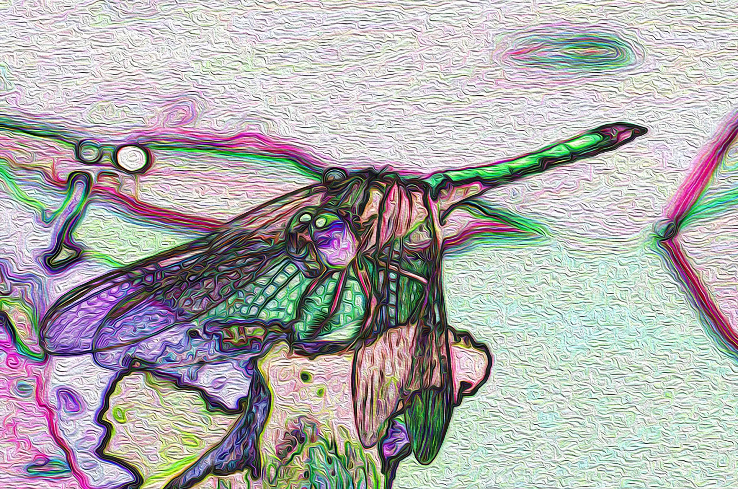 BOWING DRAGON copy.jpg