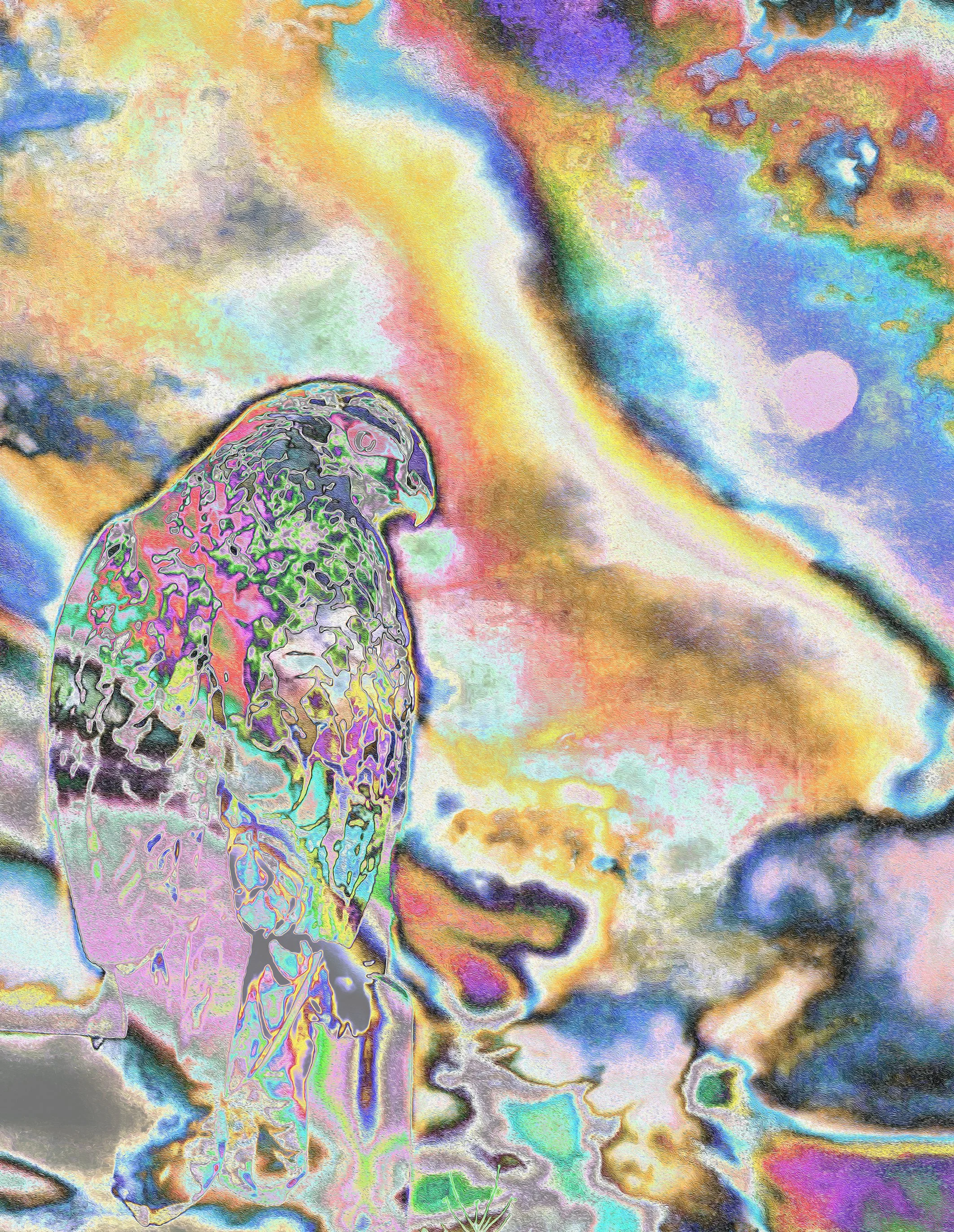 Colorful, abstract, and surreal image of a hawk within a field of energy exhibiting vibrant colors, and blending elements, creating a dreamlike atmosphere.