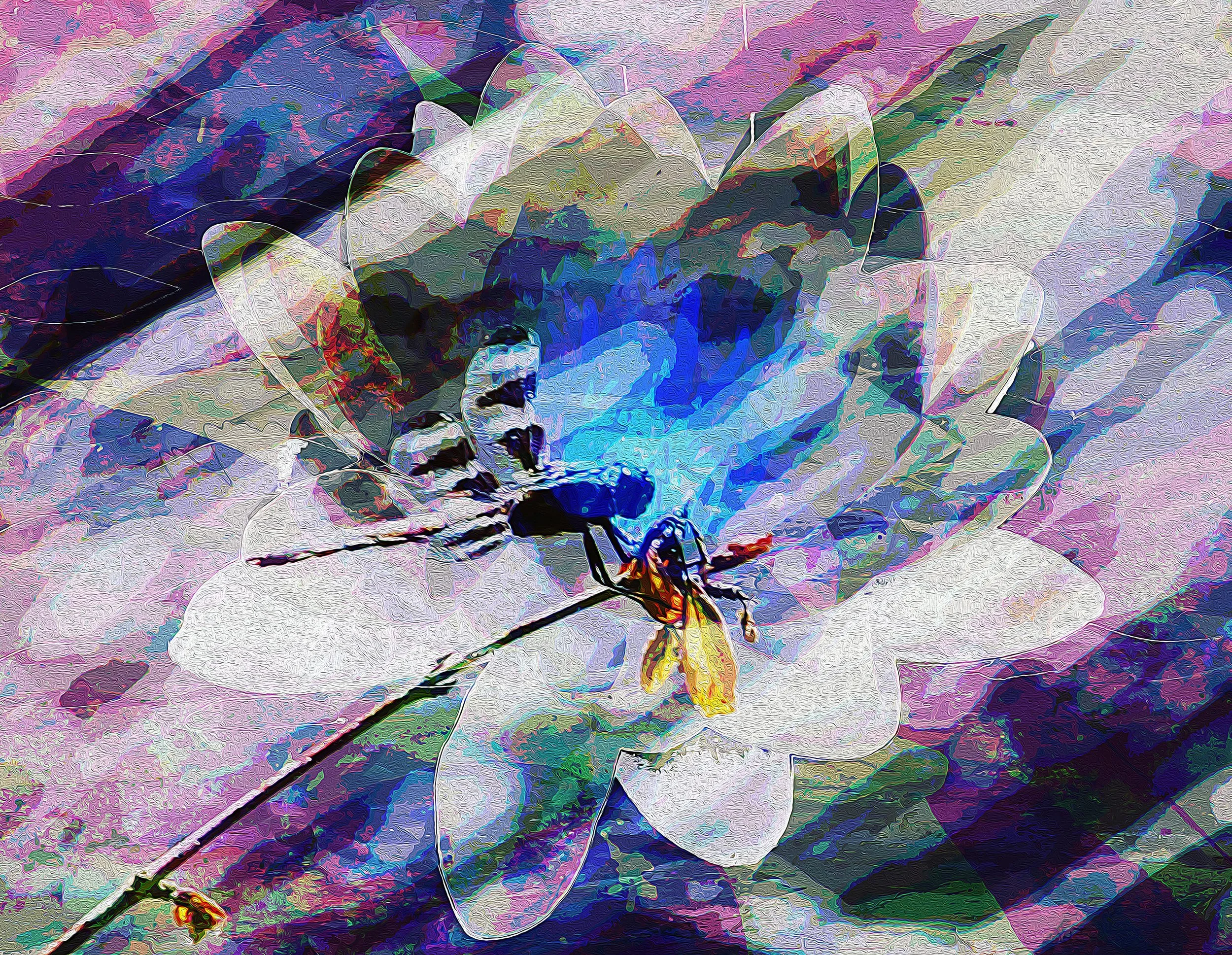 Abstract digitai print of a dragonfly grasping a flower superimposed on a water lily.