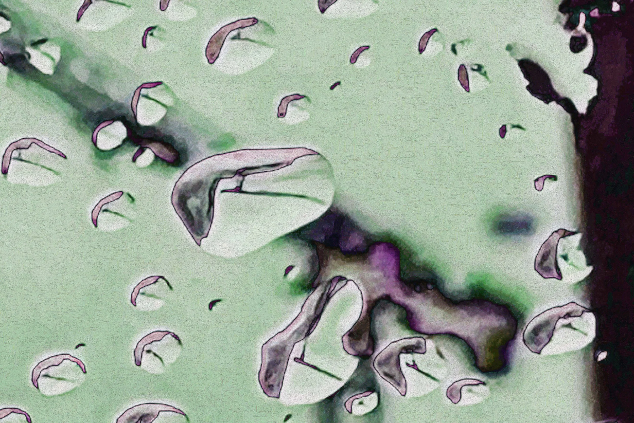 CRANES OVER MADISON copy.jpg