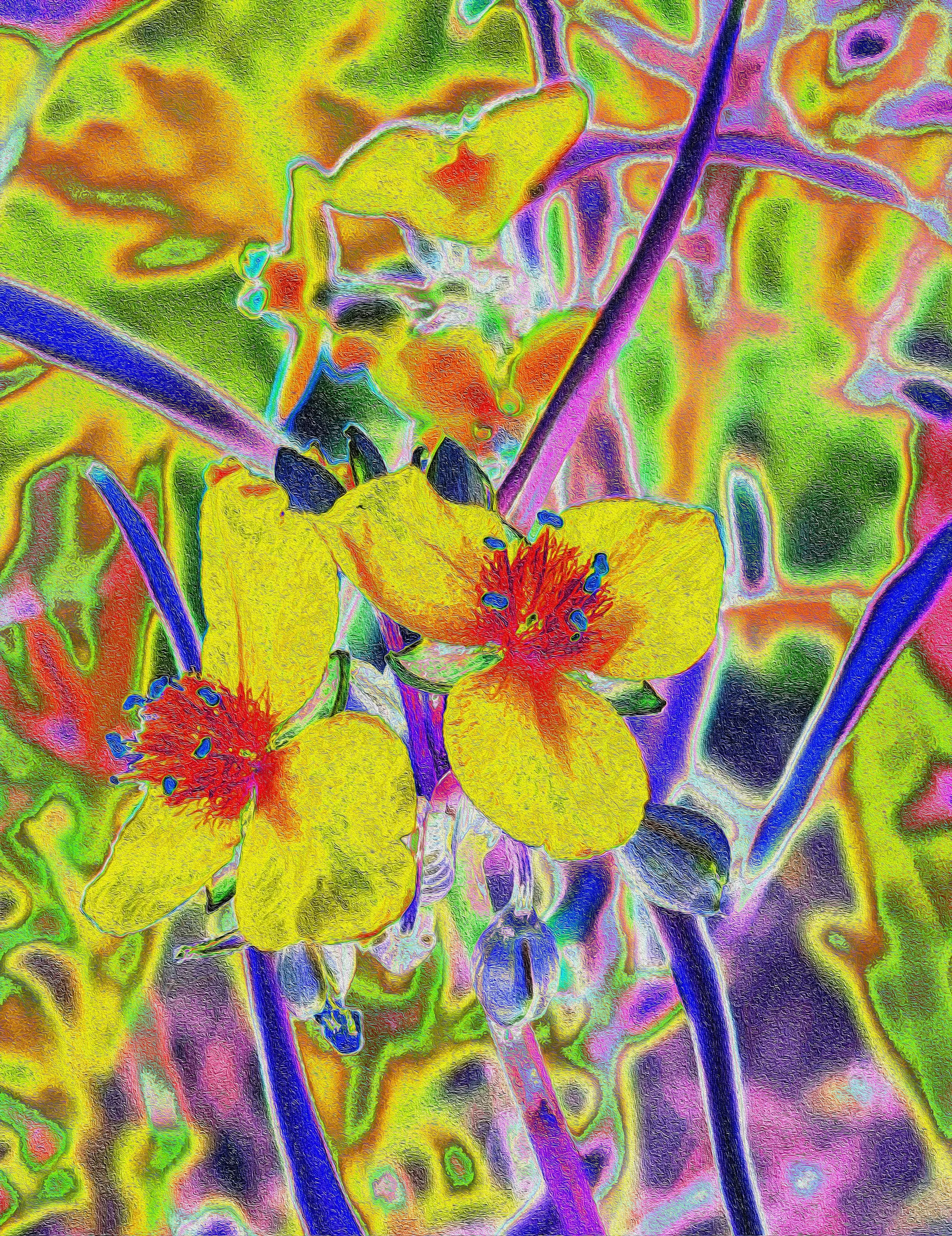 GEMINI BLOOM