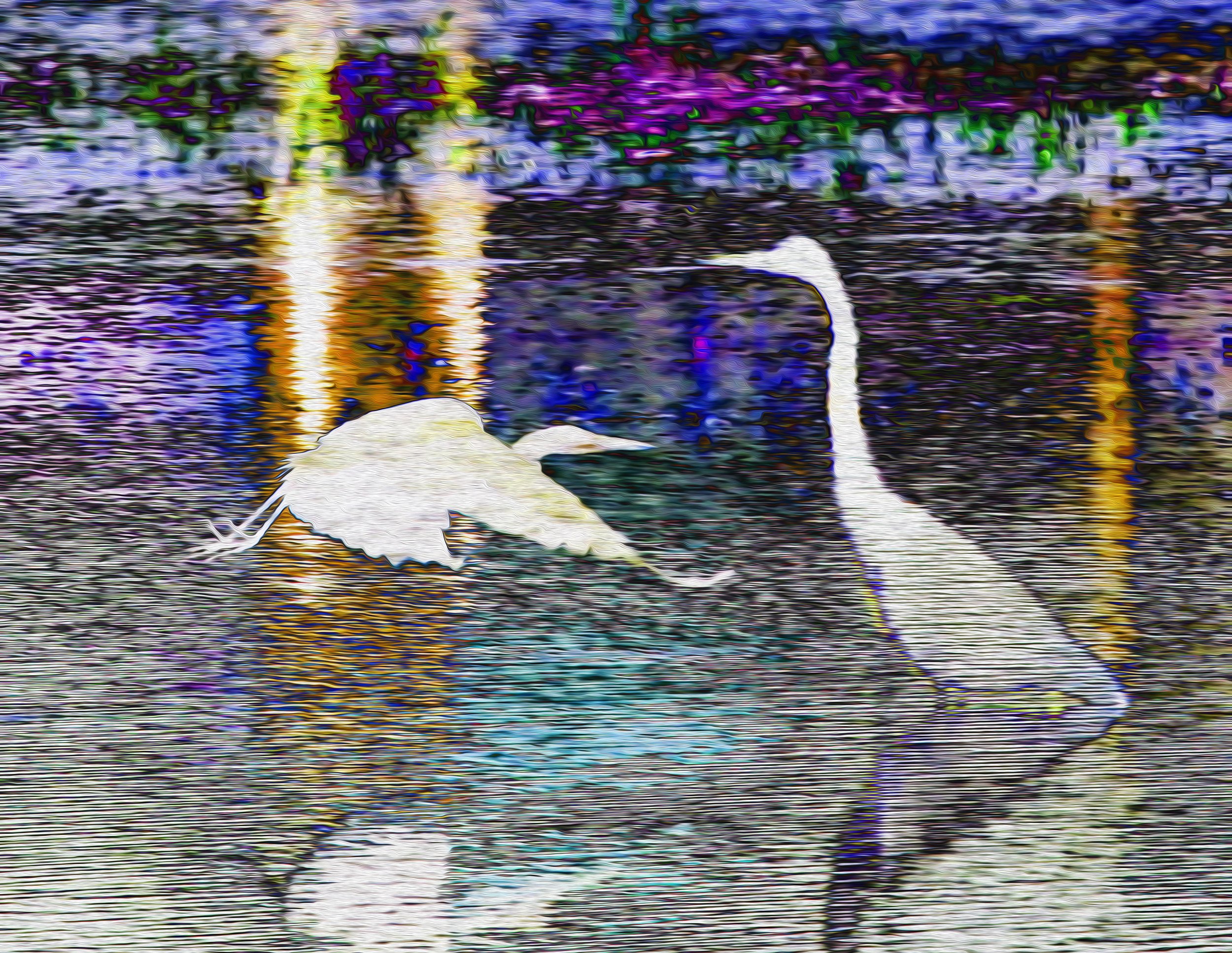 A swan swimming in a body of water with colorful flowers and trees reflected in the water, with a blurry, artistic effect.