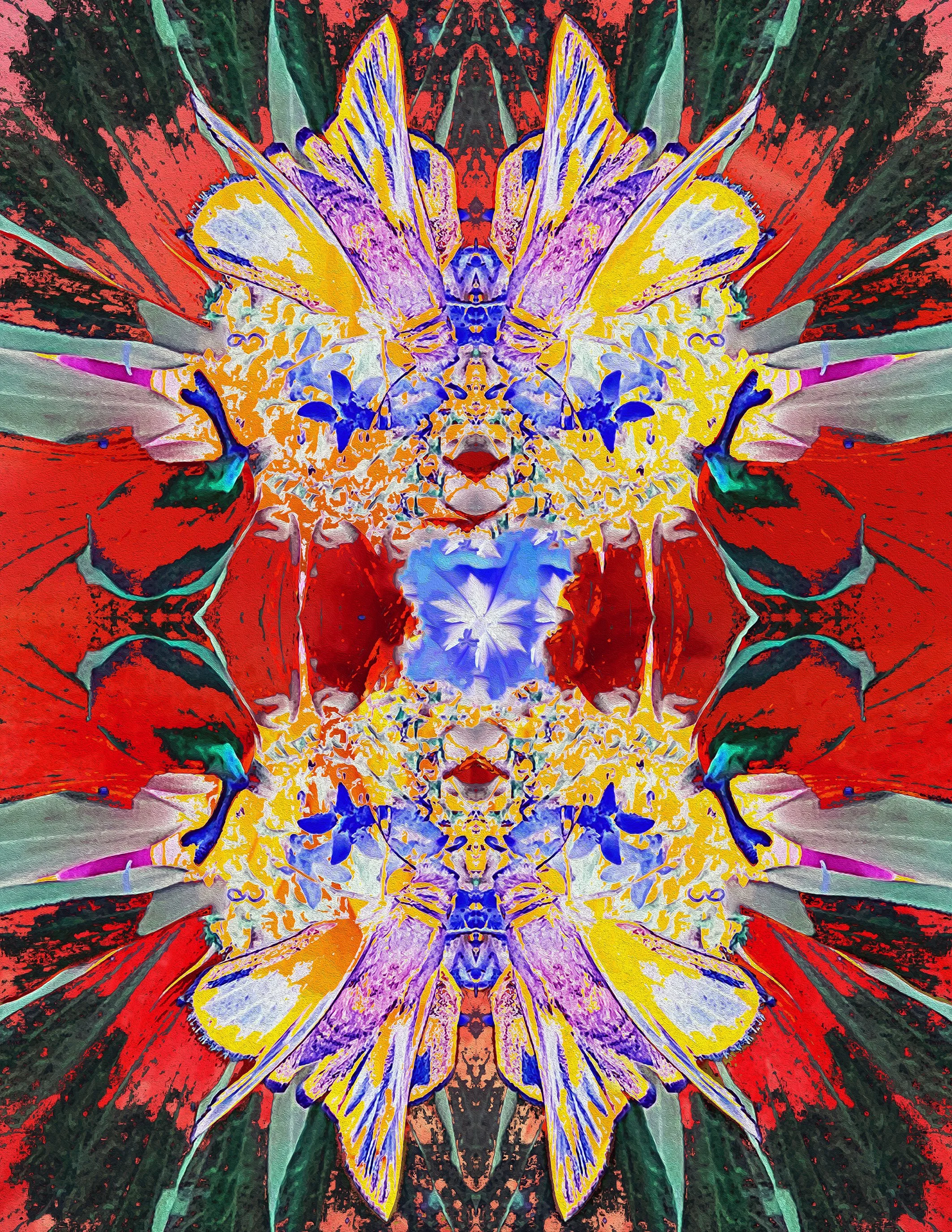 bat wing mandala copy.jpg