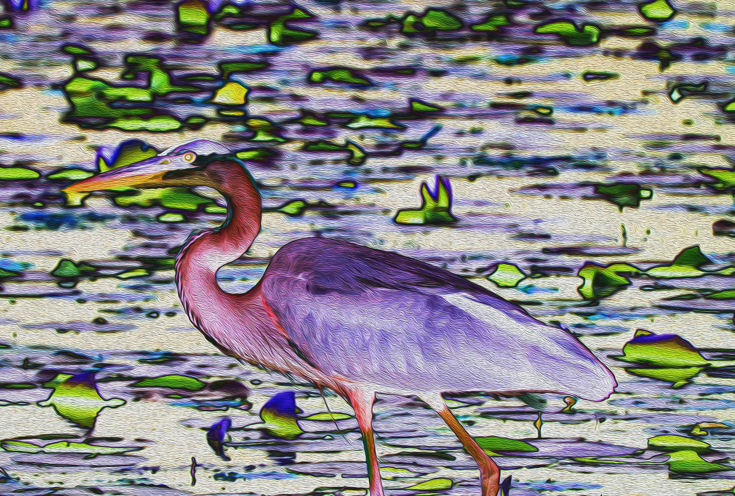 A colorful, stylized depiction of a pink flamingo standing in a pond among floating green lily pads and water lilies, with a textured, abstract artistic effect.