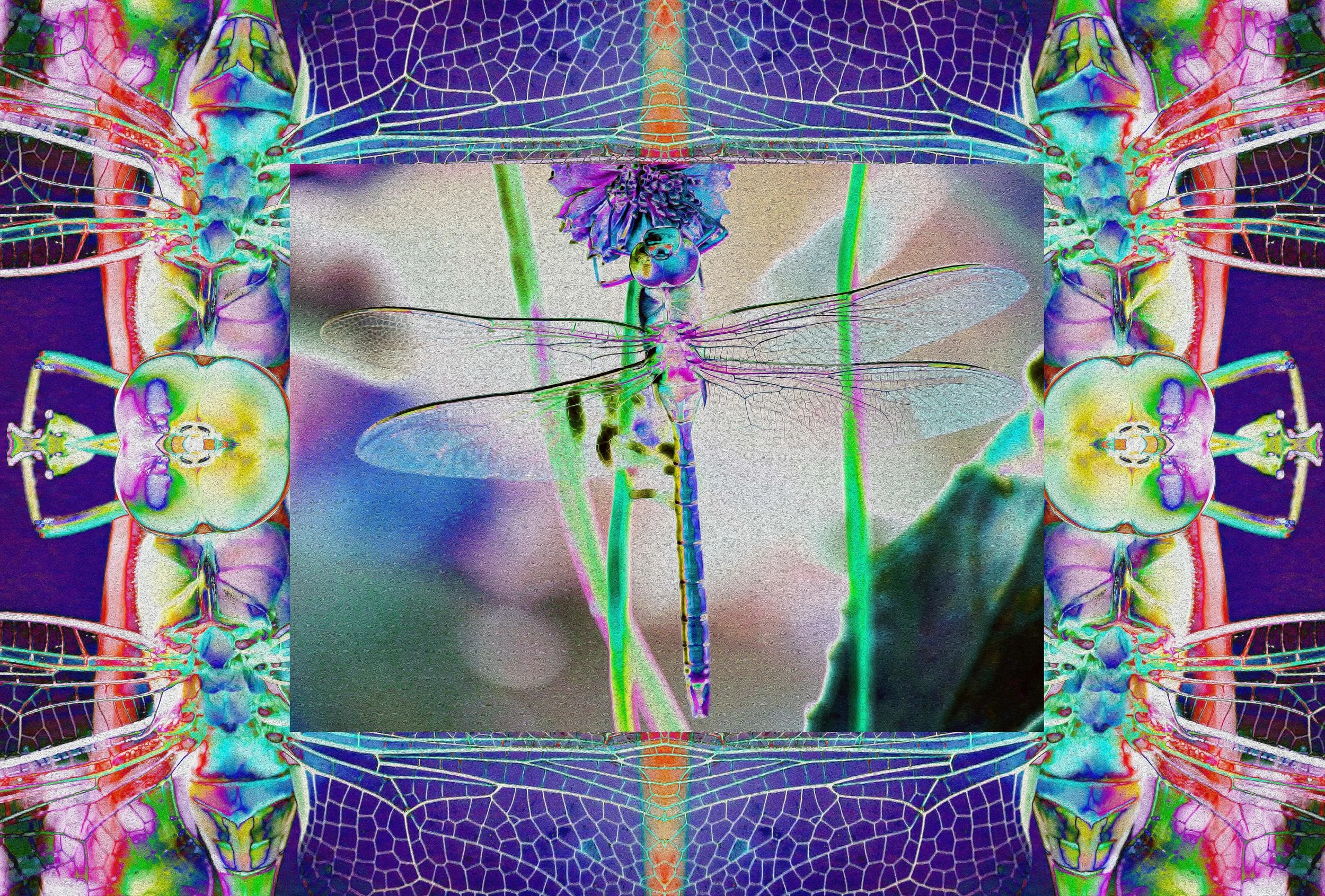 WIND DRAG TWO copy.jpg