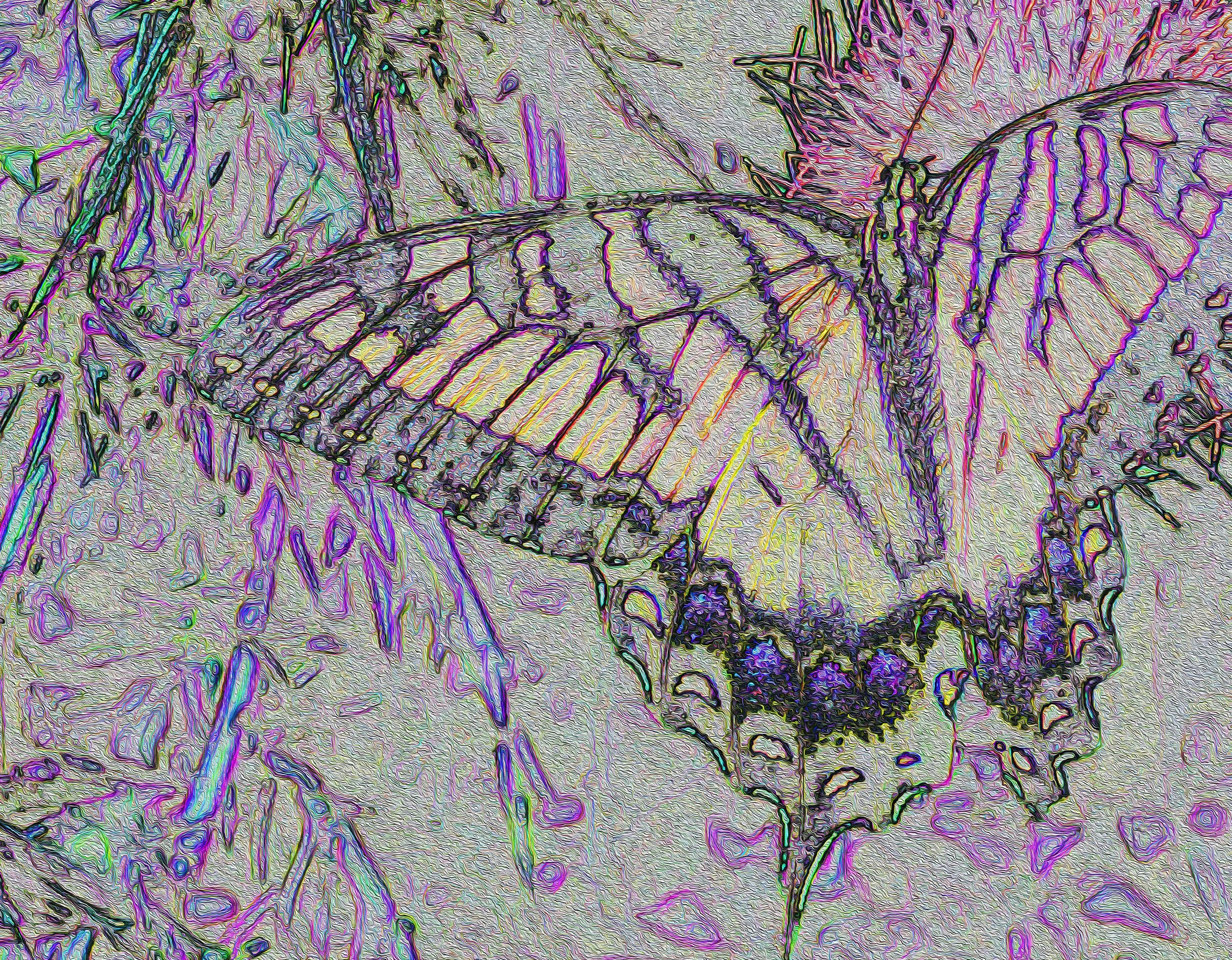 FADING MONARCH copy.jpg