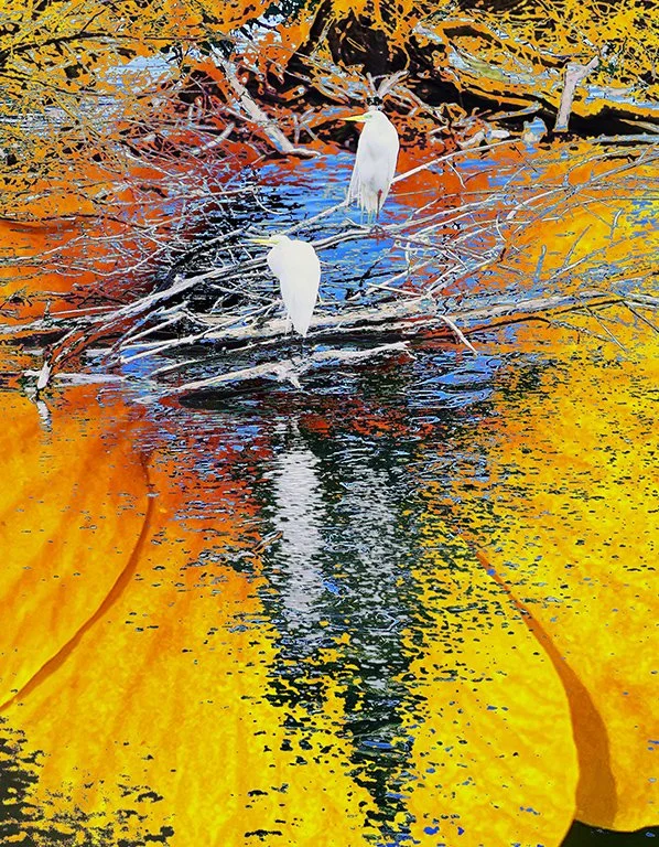 A painted scene showing two white herons standing on a fallen tree branch in a body of water, surrounded by yellow, orange, and blue reflections from the trees and sky.