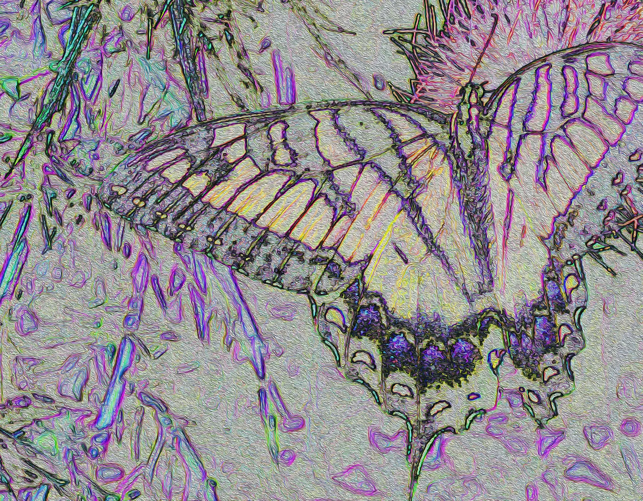 Digitally manipulated and highly stylized image of a monarch butterfly.