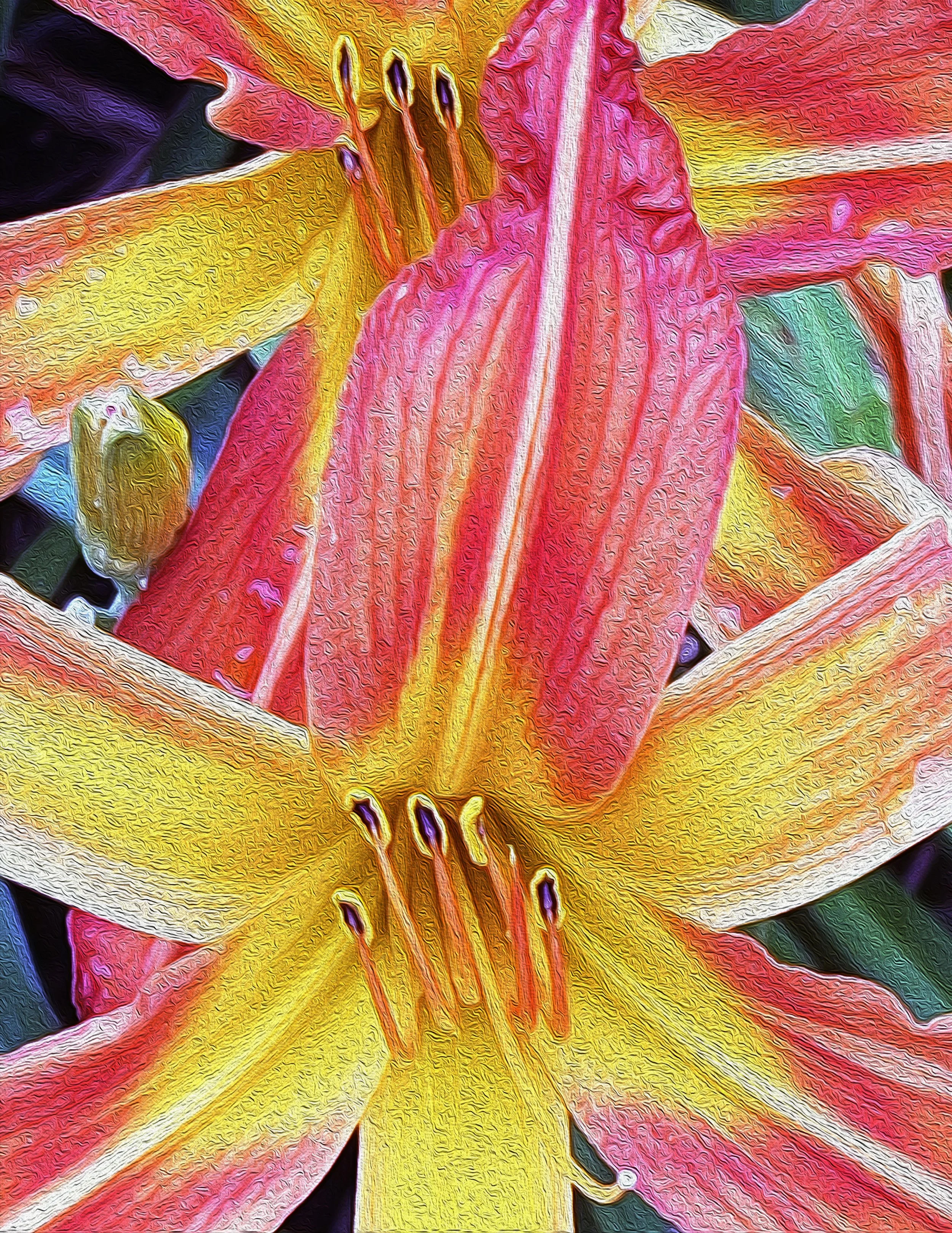 ORANGE THEORY copy.jpg