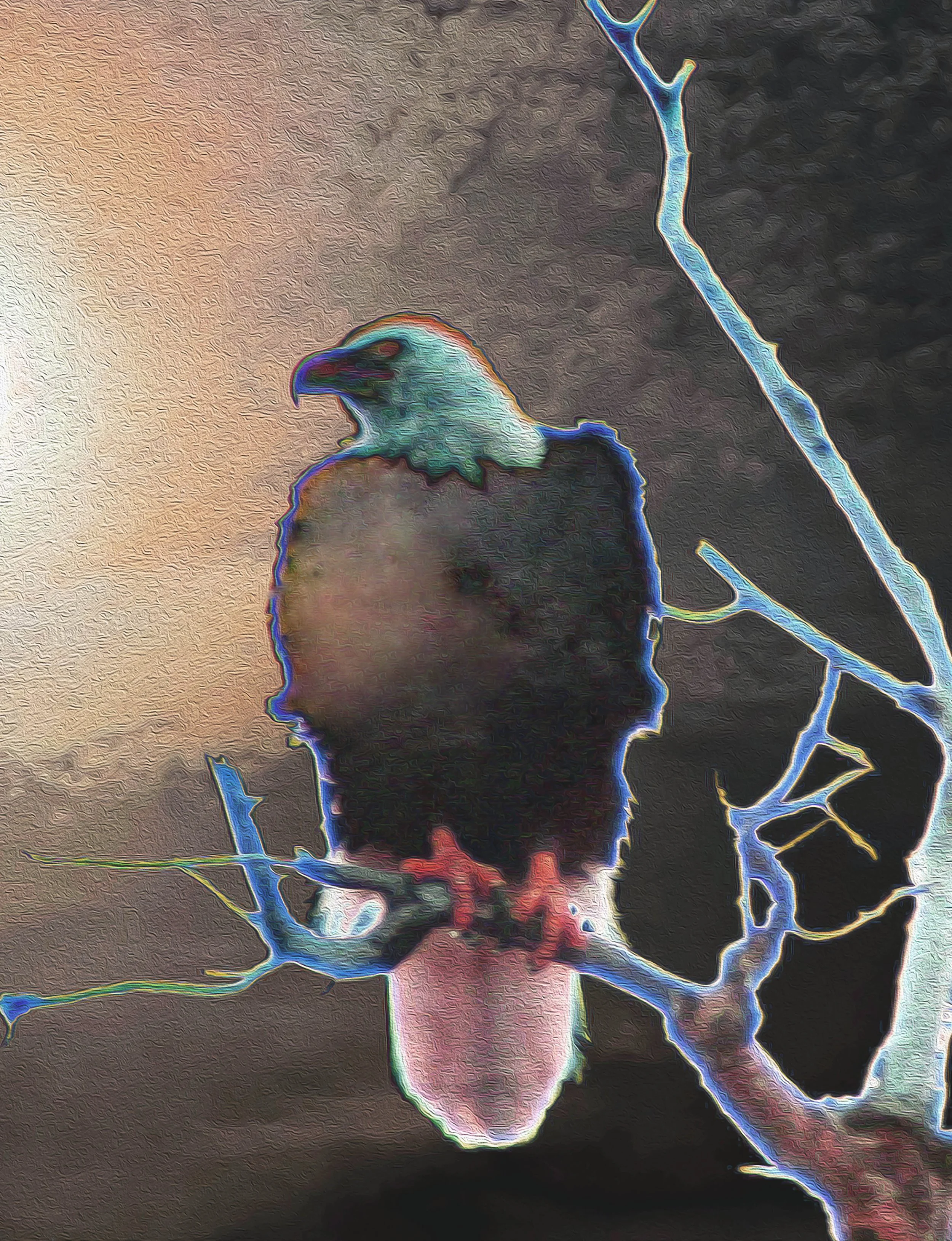 A person with a beard wearing a hoodie, illuminated with neon-like blue and red outlines, with a background of dark, textured space and electrical-like lines.