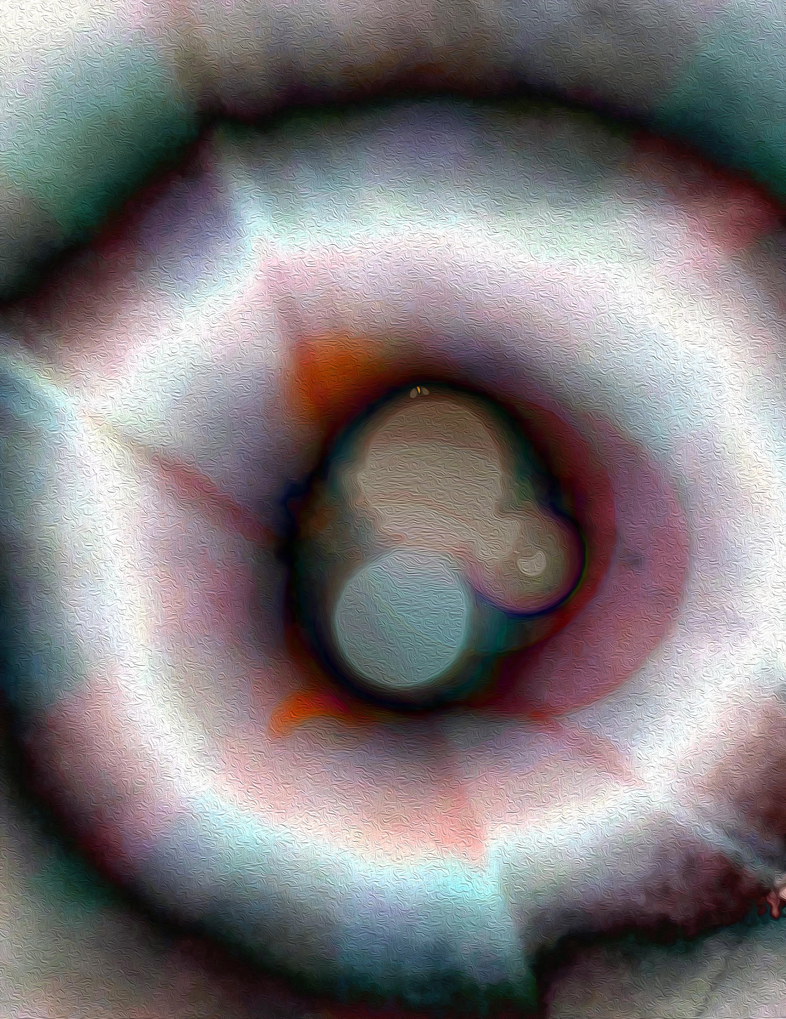 Close-up ofthe 2024 solar eclipse highlighting the colors of the energy fields surrounding the sun only visable during a total eclipse.