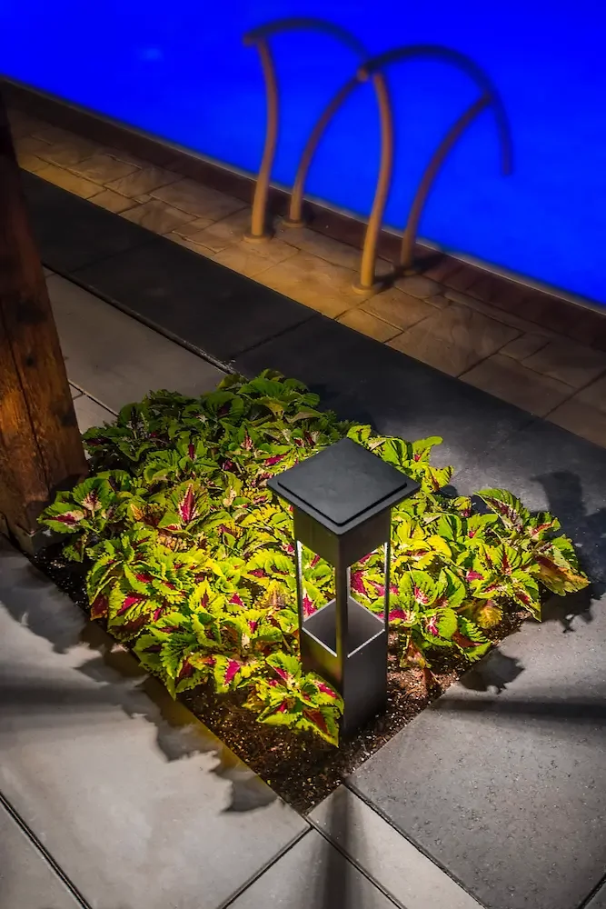 This simple bollard light highlights the bright colors of the surrounding plants while enhancing path safety.