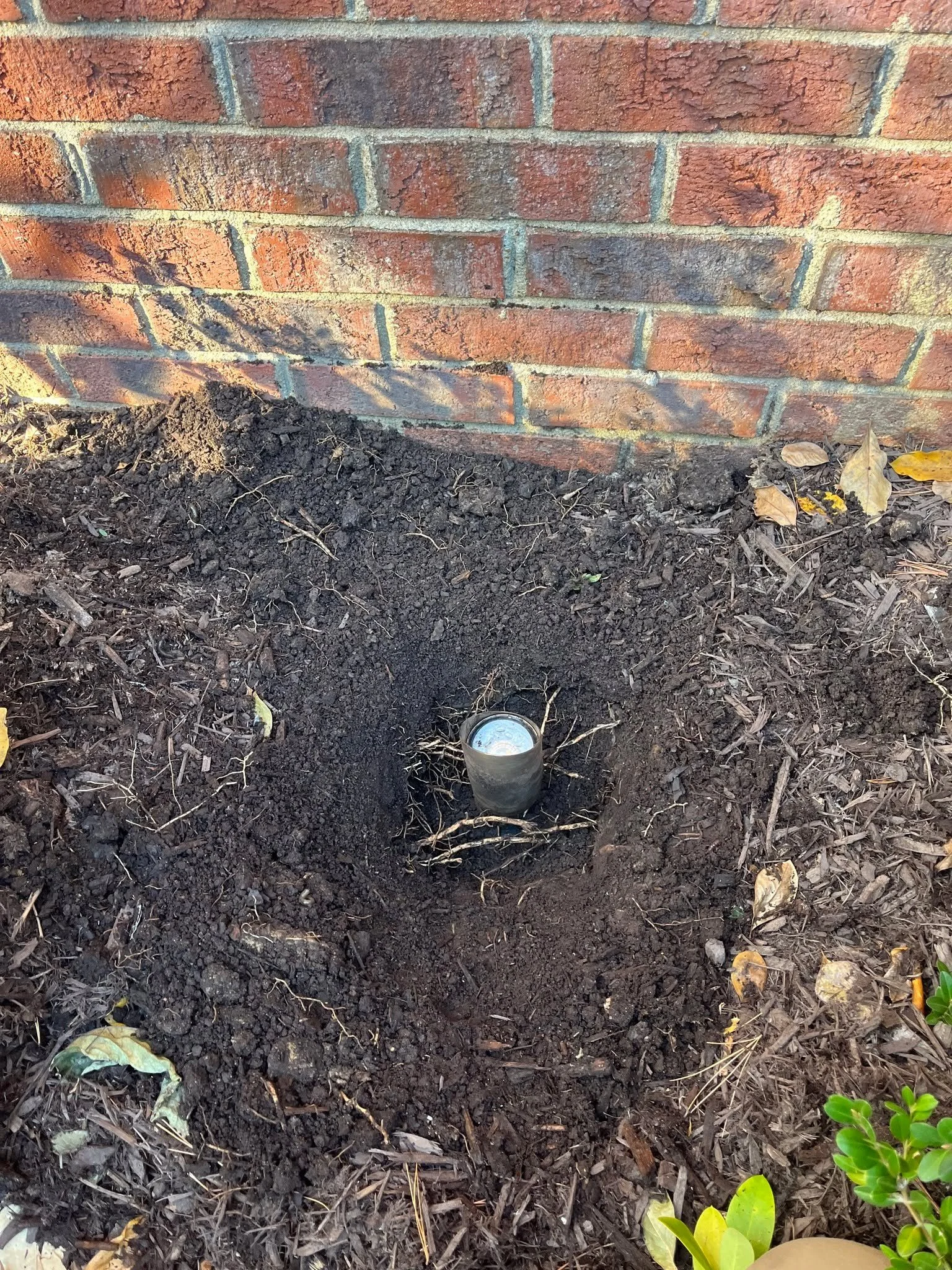 How a Simple Maintenance Call Saved This Leesburg Home’s Outdoor Lighting System