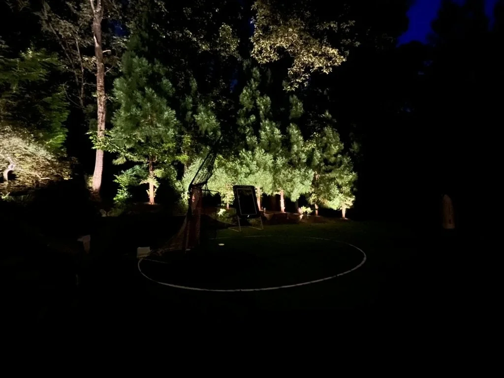 Evergreen trees illuminated at night with layered uplighting, creating depth and visibility across a large backyard and sport court area.