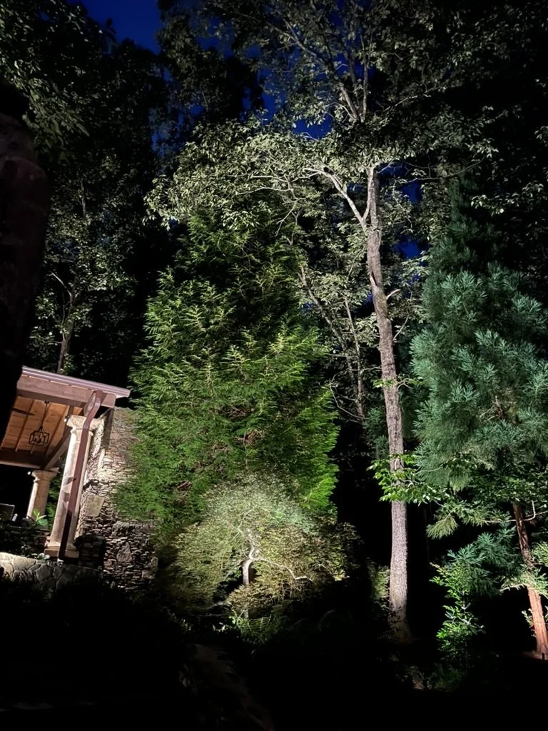 Custom tree uplighting on a Great Falls estate, illuminating trees near a sport court for nighttime views from the home.