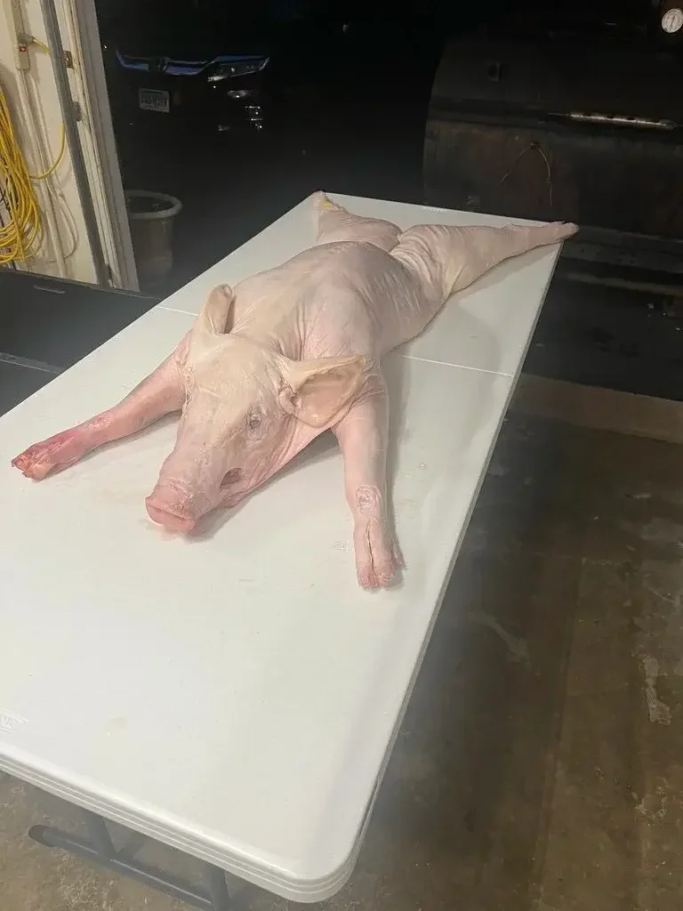 Pig Roast Prep 5am.webp