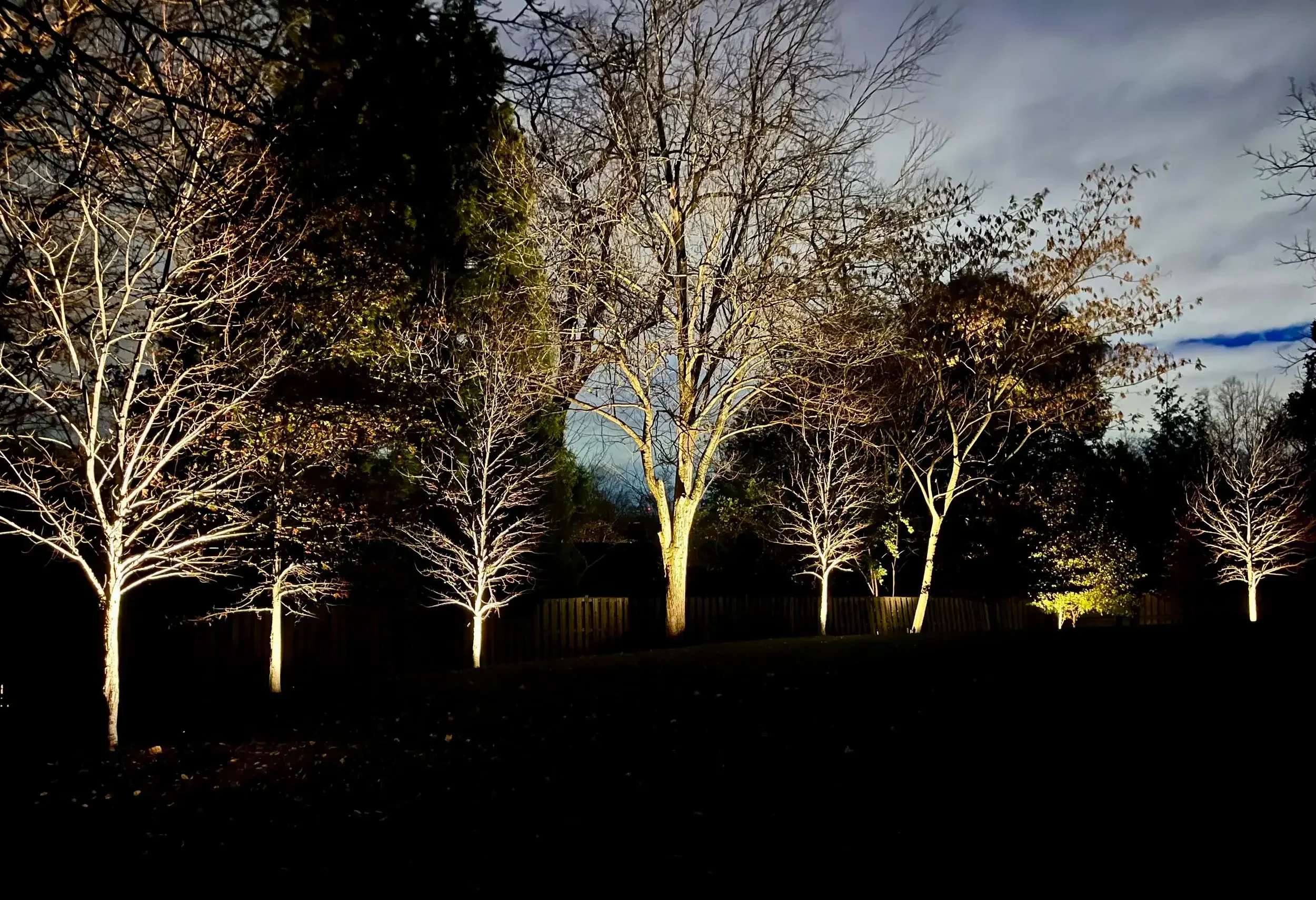 Tree uplighting along the back perimeter of this yard not only highlight the beauty of your trees but also add an extra layer of security and ambiance.