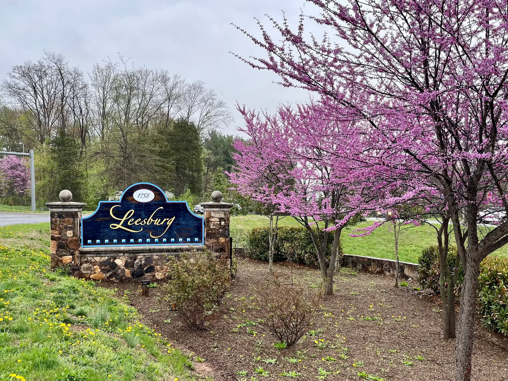 A scenic view of a landscaped area with a large blue sign reading 'Leesburg' surrounded by pink blooming trees and green grass, under a cloudy sky.