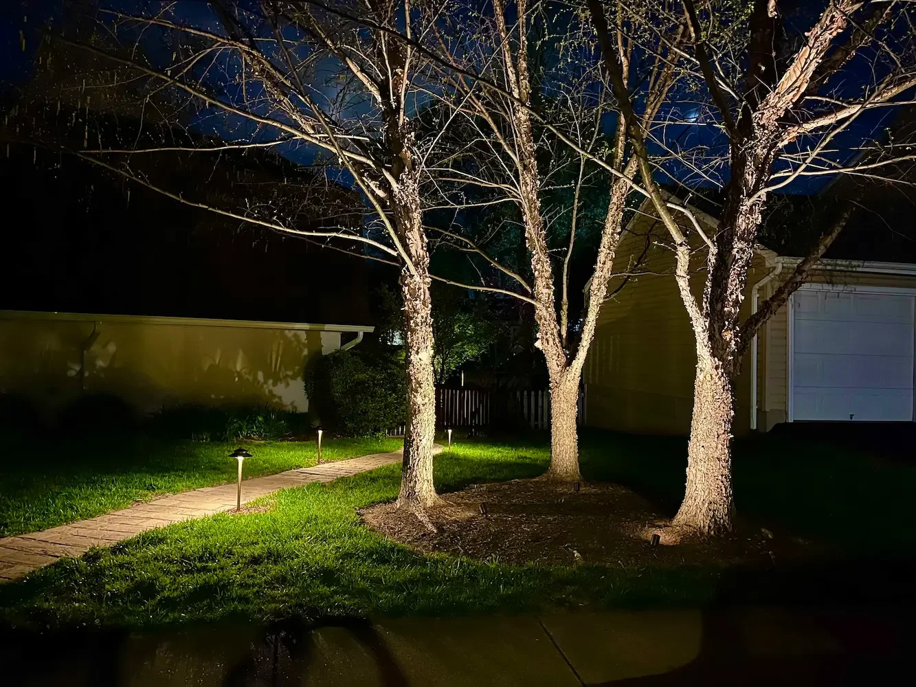 Tree uplighting and pathway lihting illuminate the side yard of this home.