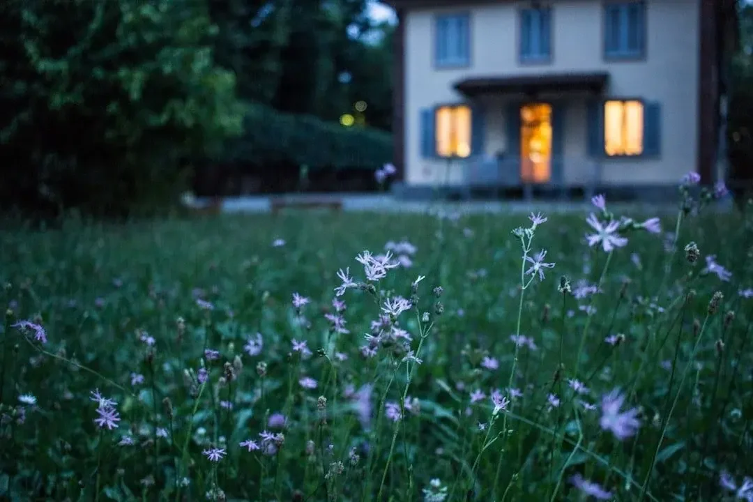 Nighttime view of a grassy area with small purple flowers in the foreground and a building with lit windows in the background.