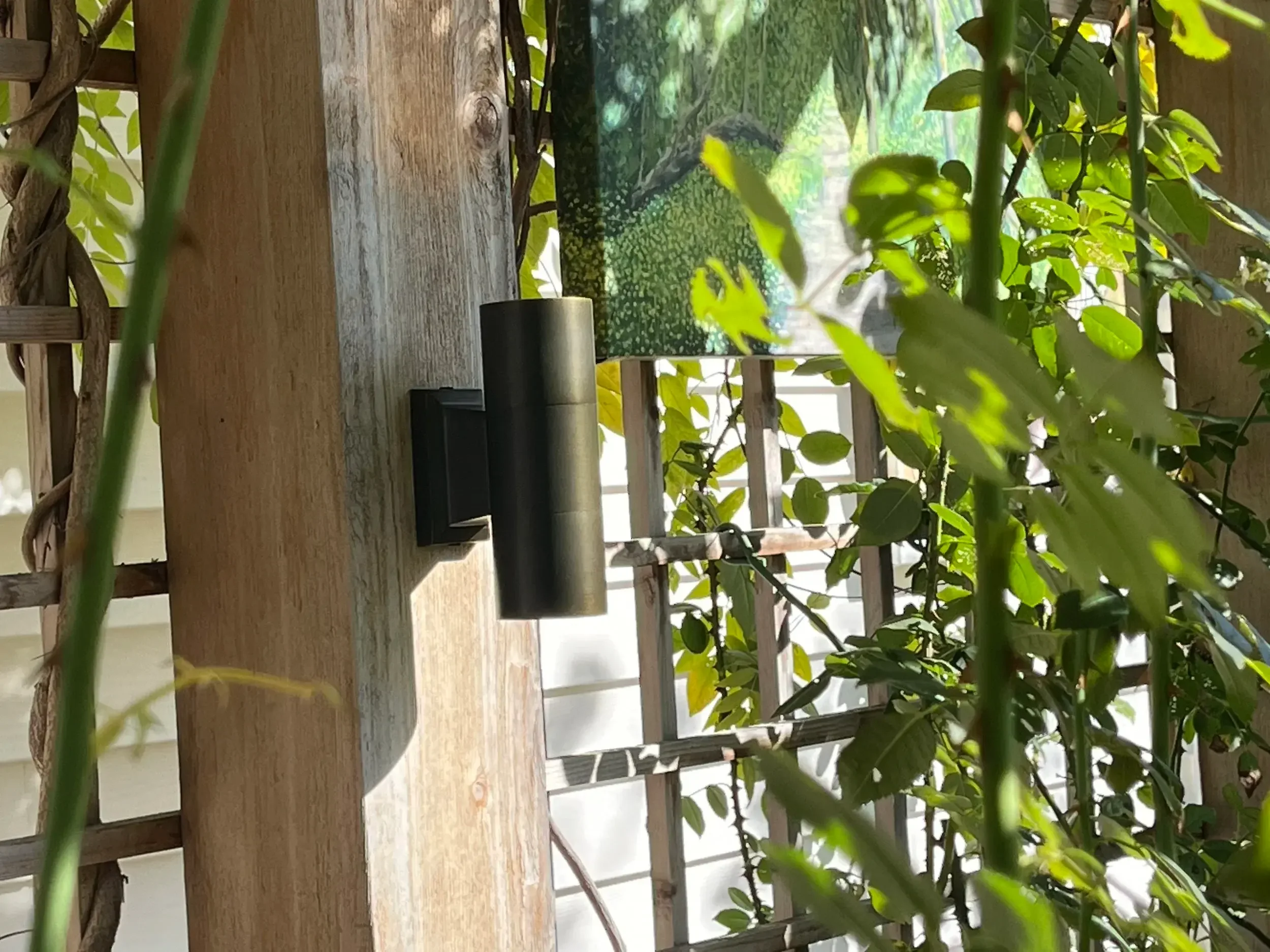 Brass up/down sconce illuminates this cedar trellis area.