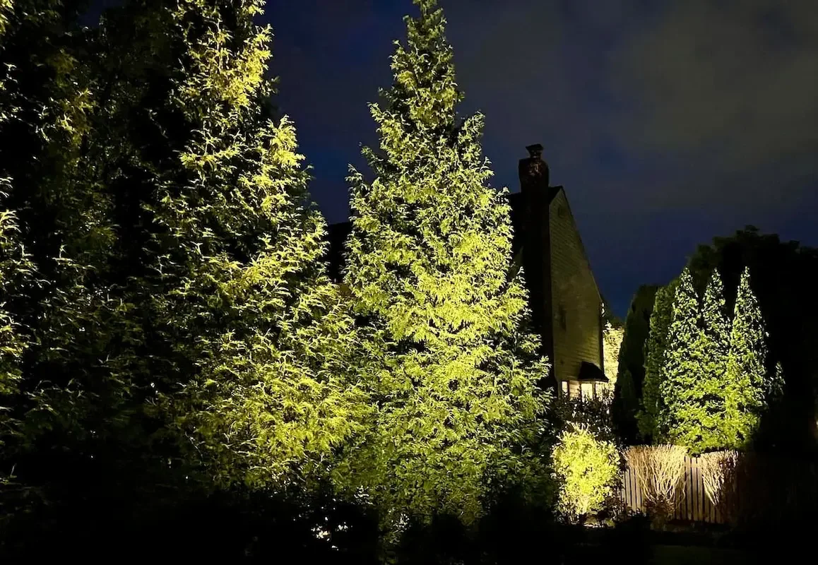 Nighttime scene of illuminated trees in a garden with a house in the background.