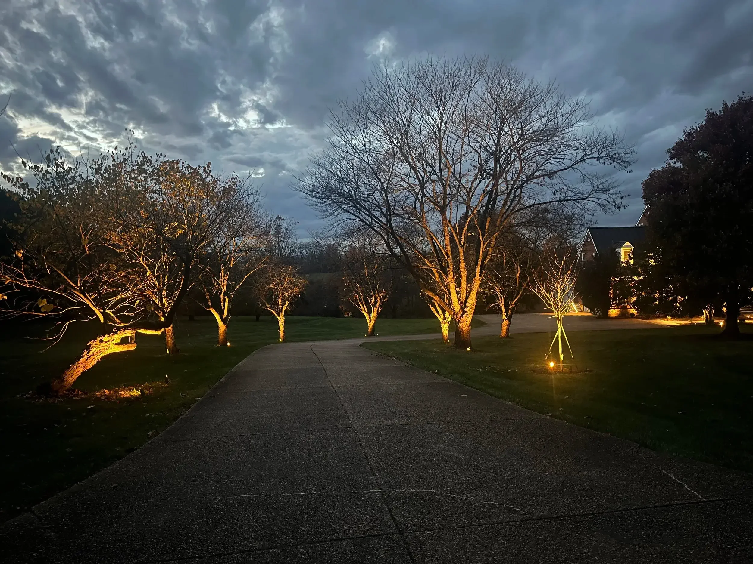 Driveway tree illumination adds an elegant approach to this country side estate.