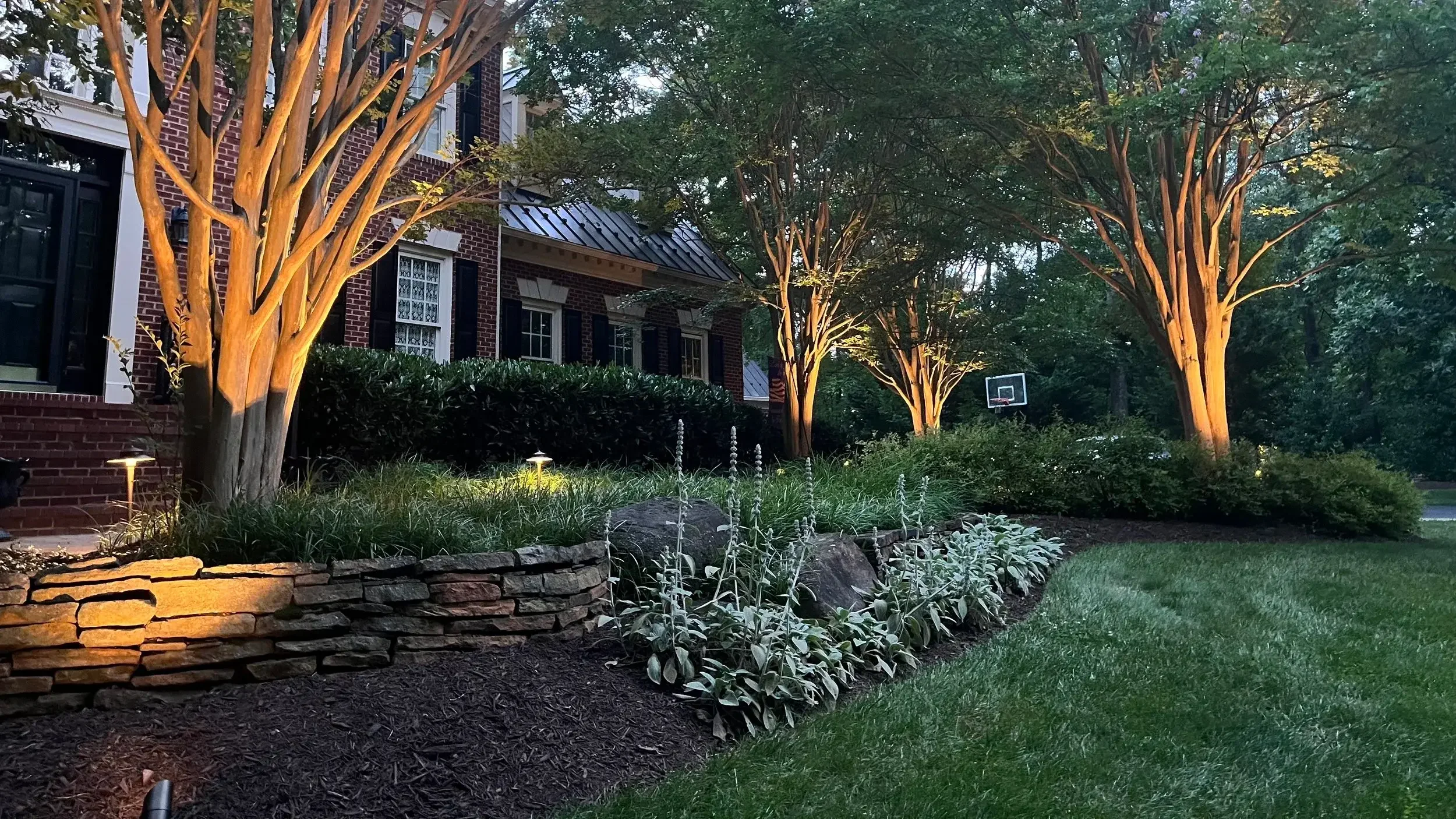 Illuminated crepe myrtle trees & garden walls.