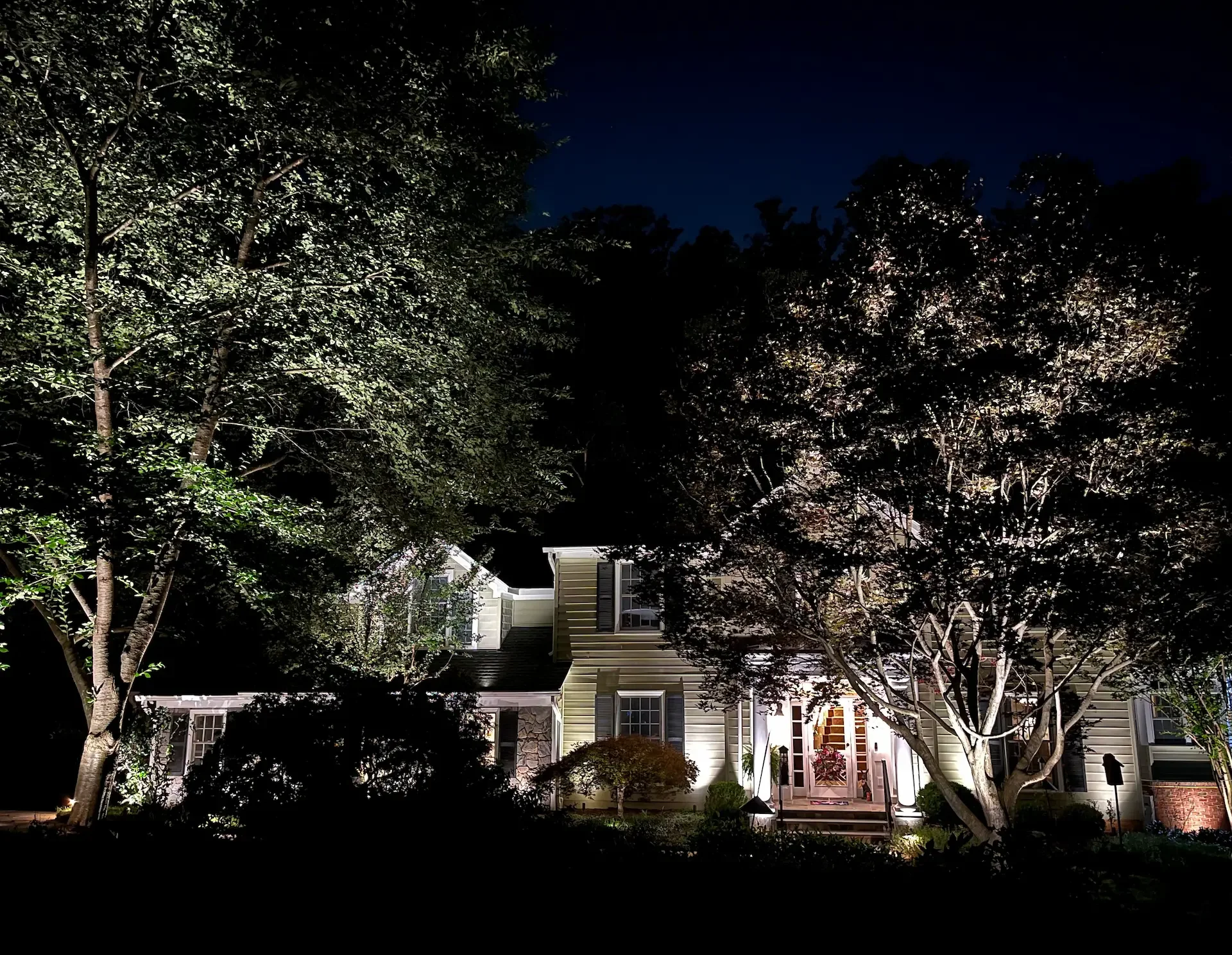 From Backyard Tune-Up to Front Yard Transformation in Vienna, VA