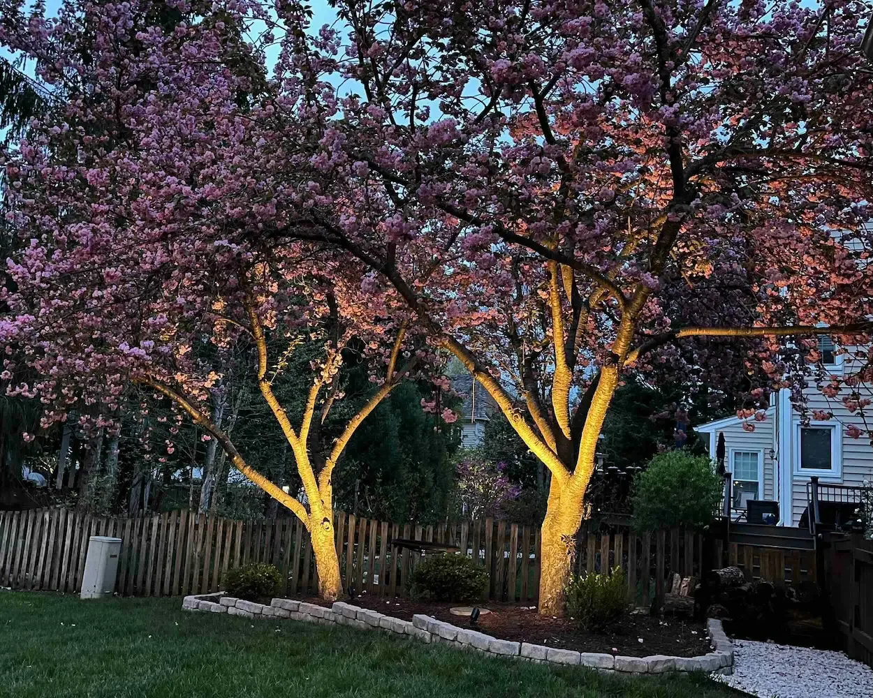 Color changing tree accents in background on this Loudoun County backyard.