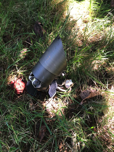 A discarded small missile or rocket surrounded by grass and leaves in a natural outdoor setting.