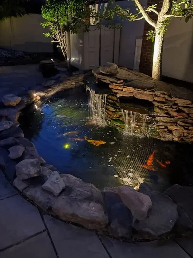 A backyard pond with two orange fish, a small waterfall, rocks surrounding the pond, and trees illuminated by outdoor lighting at night.