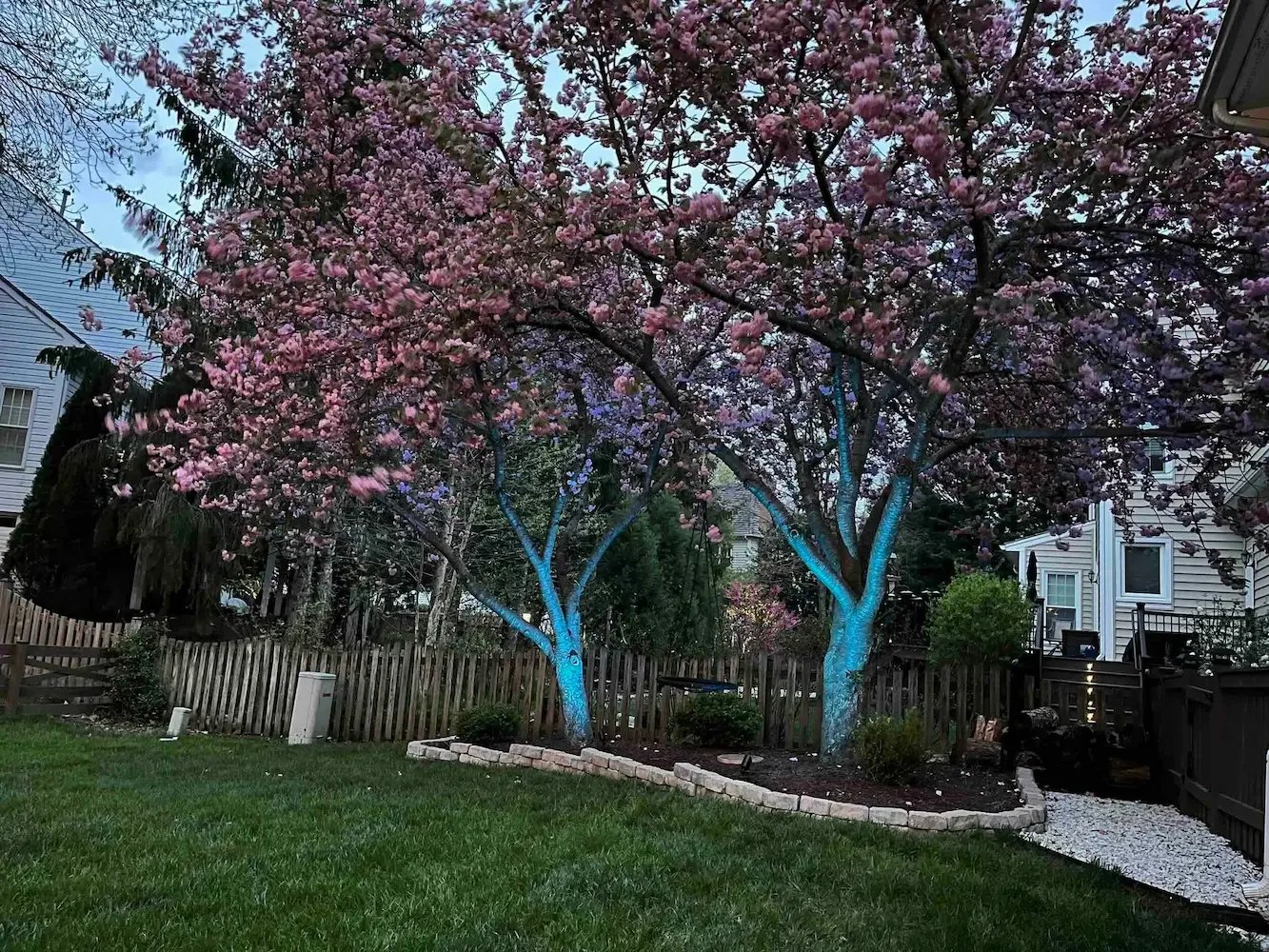 Color changing tree accents in background on this Loudoun County backyard.