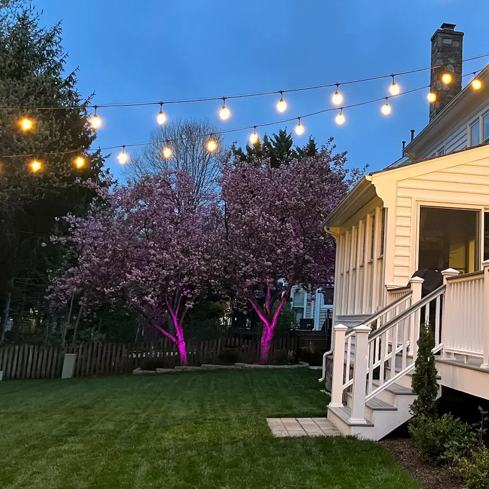Festive bistro style string lights with color changing tree accents in background on this Loudoun County backyard.