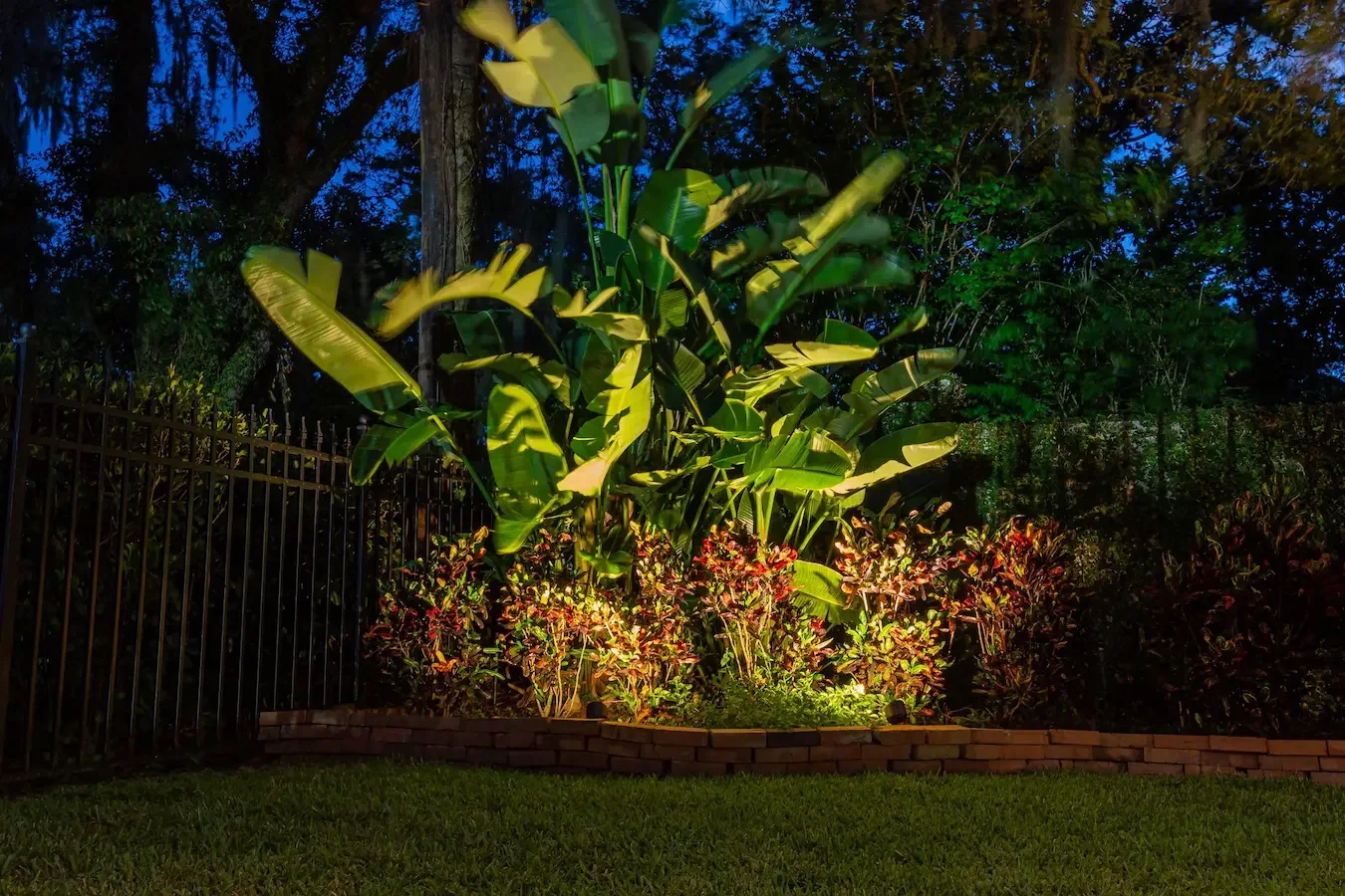 Landscape lighting accenting tropical plants and layered shrubs to showcase texture, color, and depth after dark.