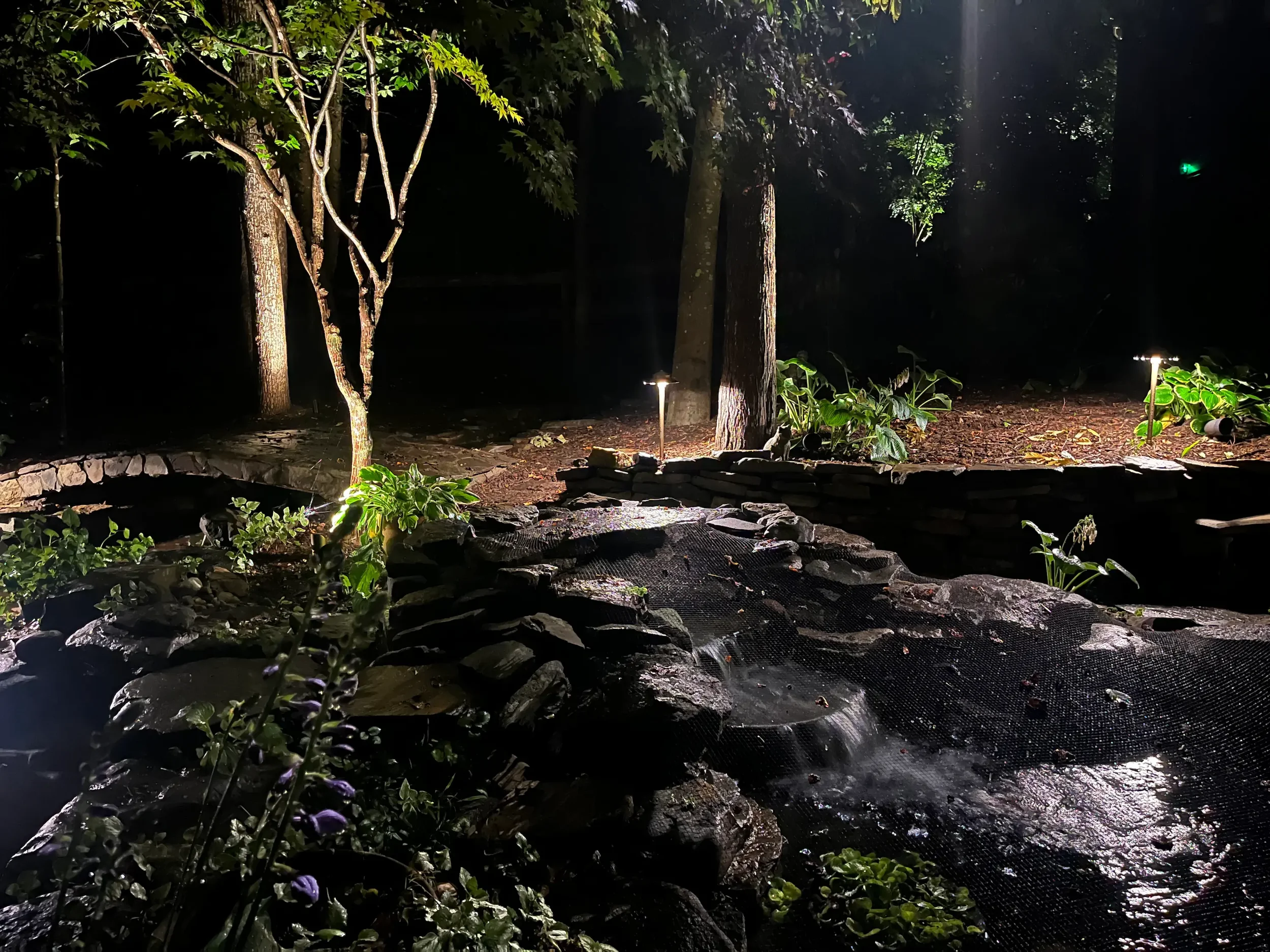 Outdoor lighting highlighting mature trees, a pond, and surrounding landscape with layered lighting that creates depth and nighttime ambiance.