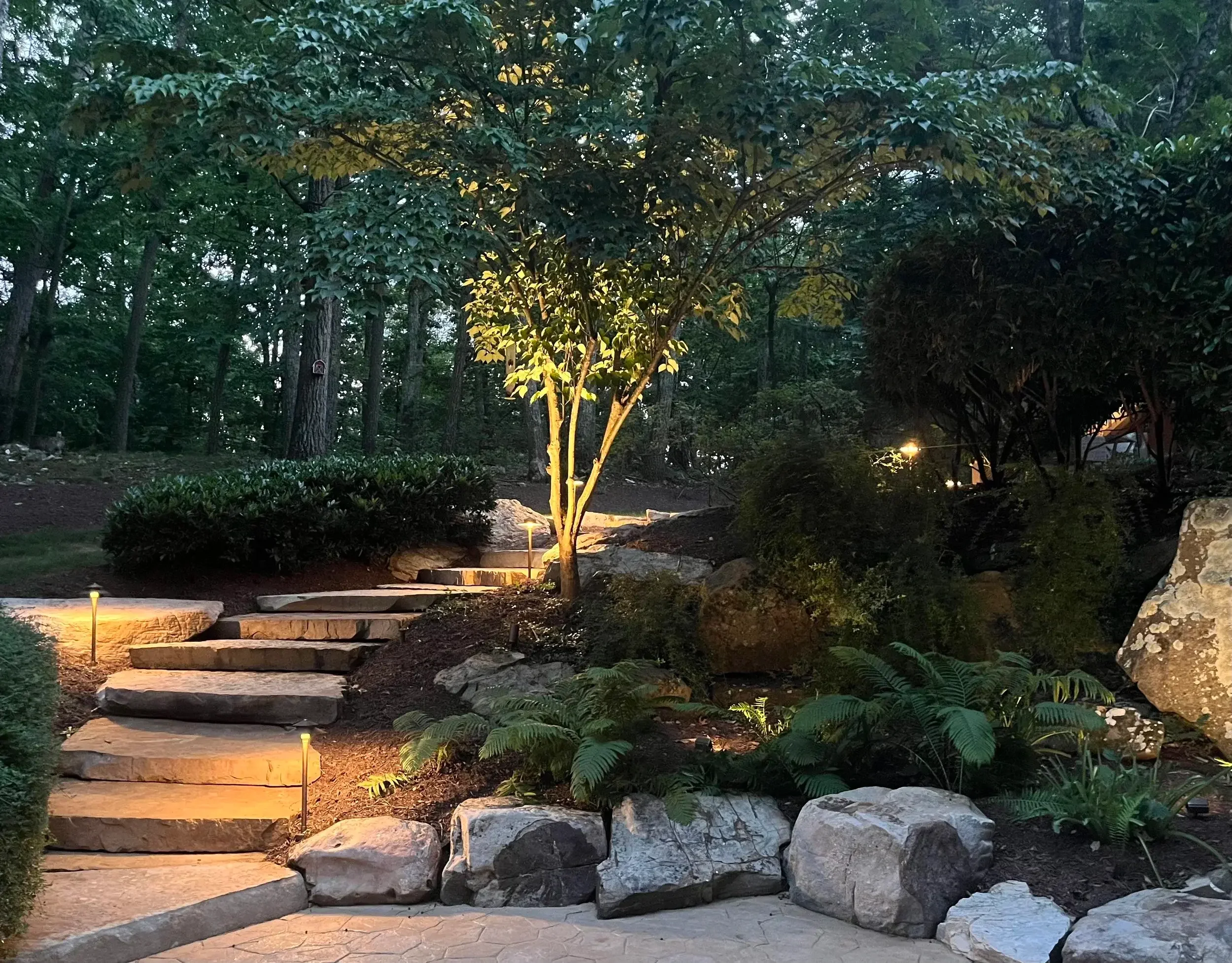 Back yard architectural walkway and lighting of terraced landscape.