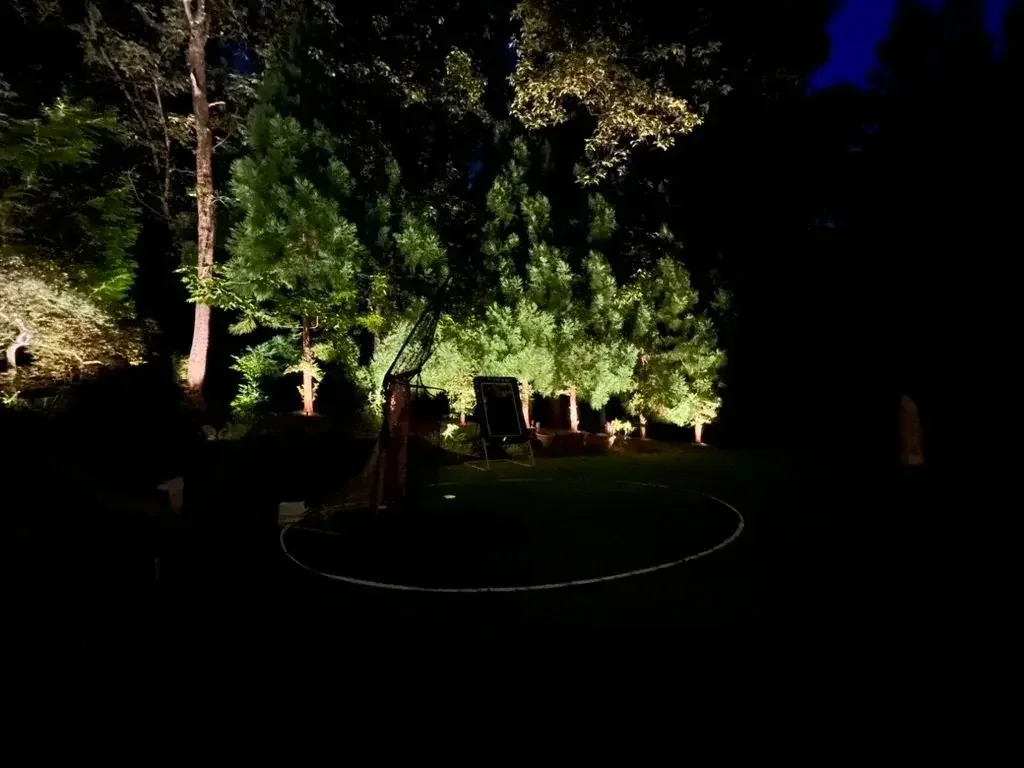 Evergreen trees illuminated at night at Great Falls estate.