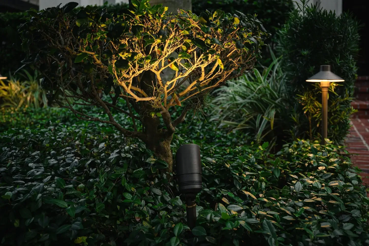 Nighttime garden with illuminated tree, shrubs, garden light, and red brick pathway with black modern light fixtures.