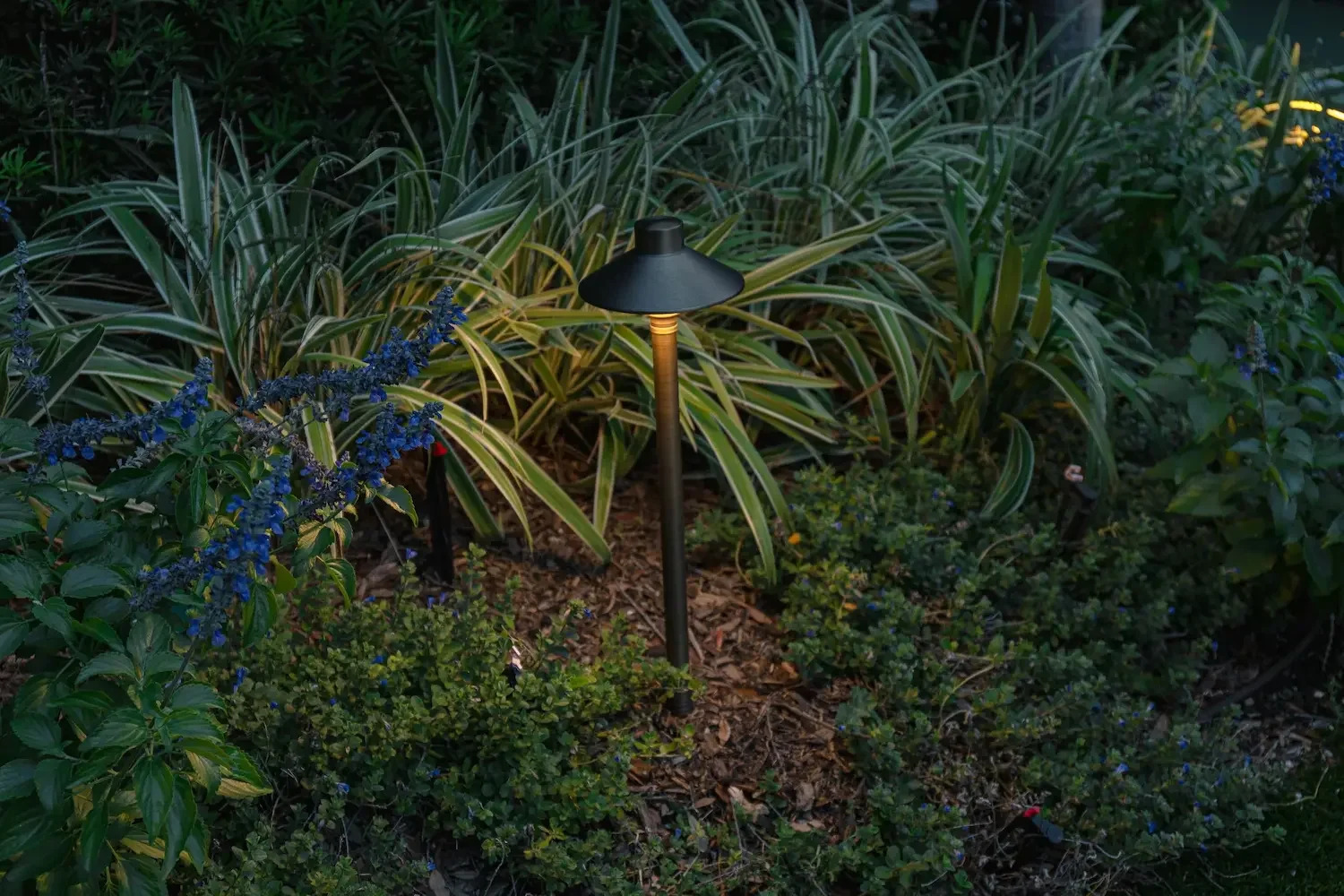 Decorative landscape path light providing gentle illumination within a layered garden bed without overpowering surrounding plants.