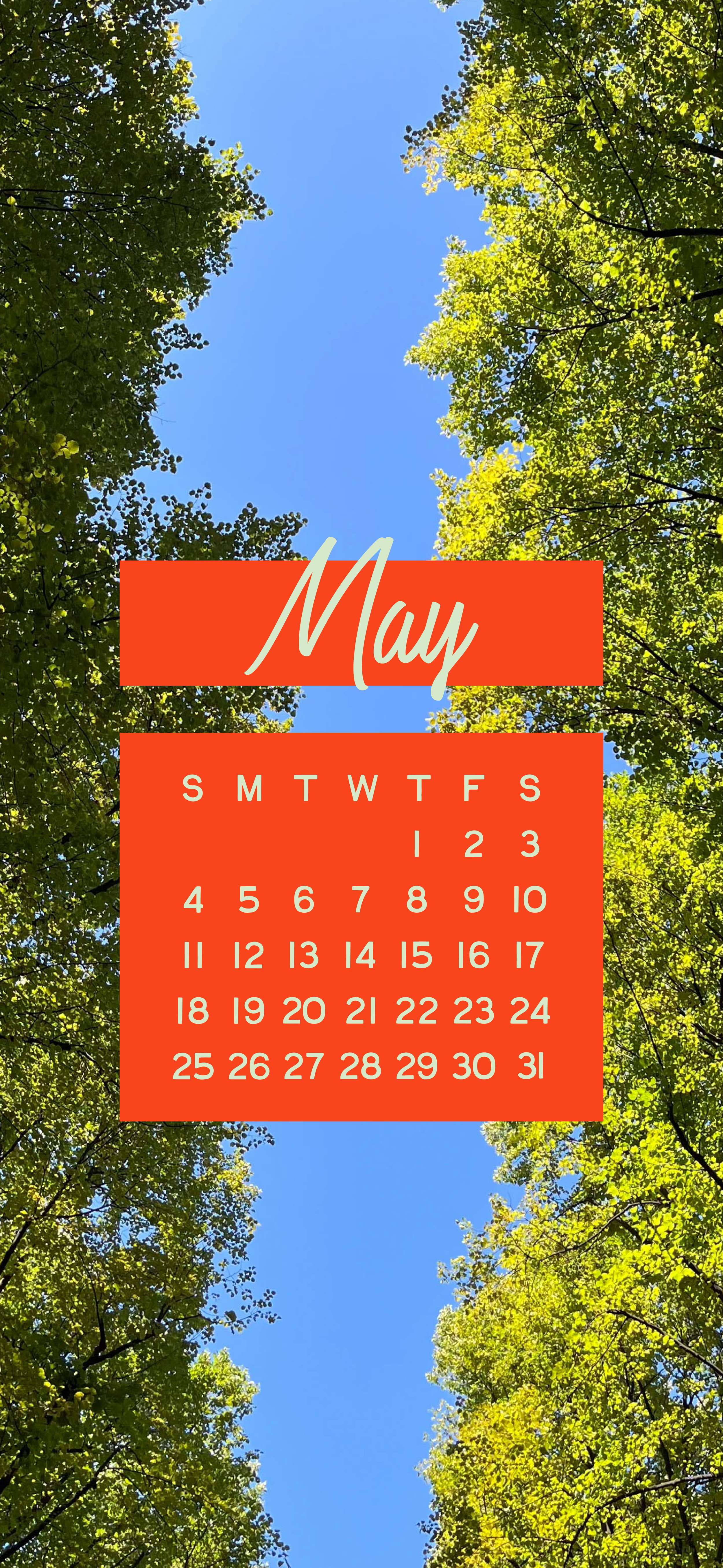 May_Tree Lock.png