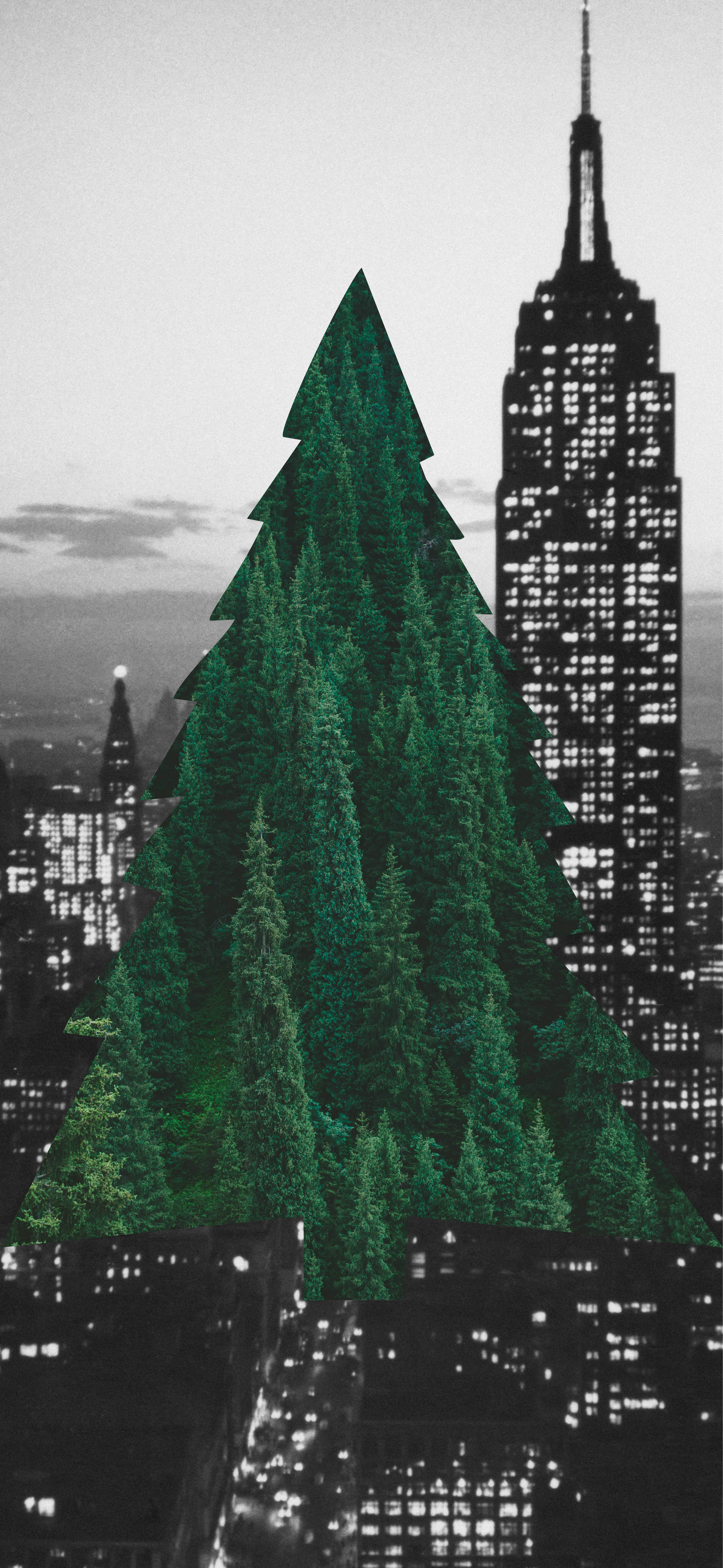 December_City Green Home.png