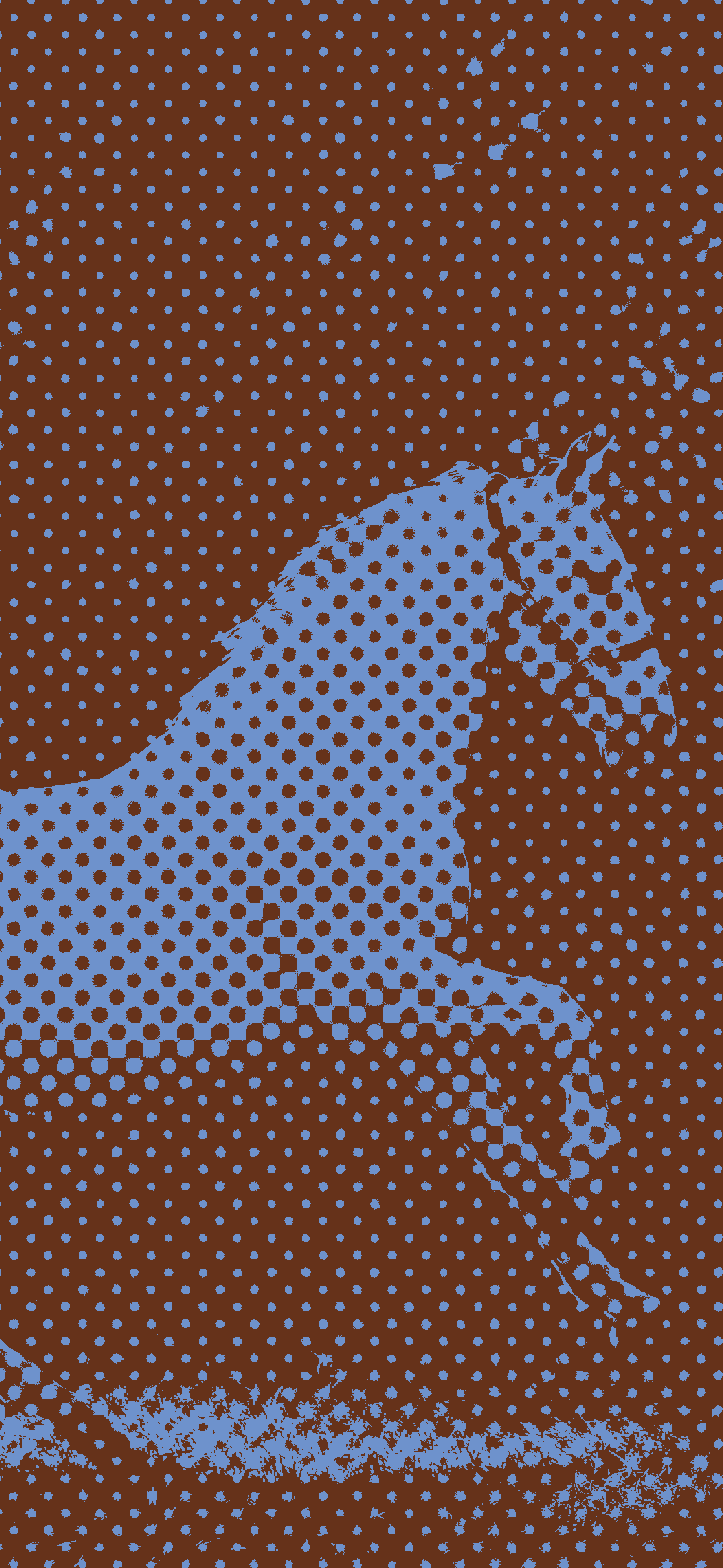 January_Horse Home.png