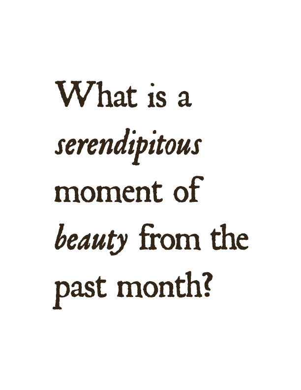 Salon Questions-05.png