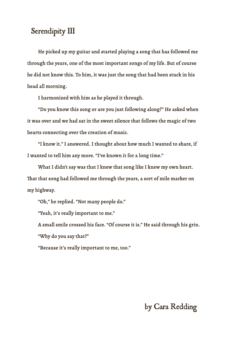 Salon Written Works_Serendipity III.png