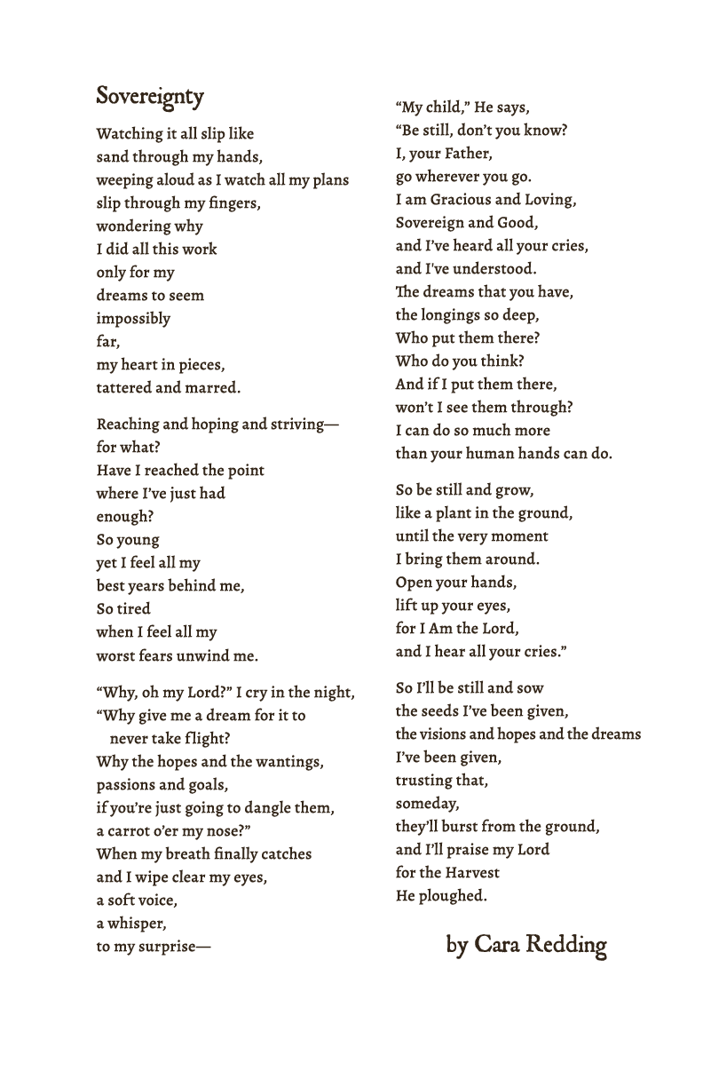 Salon Written Works_Sovereignty.png