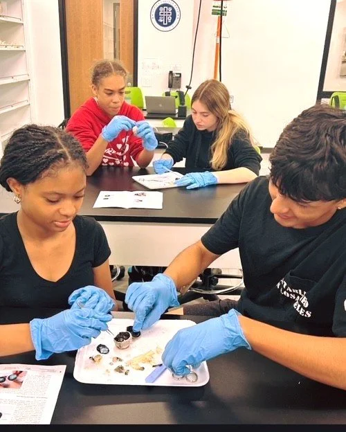 The Power of Collaboration 💪

Meet Damian and his lab partner as they dive deep into the fascinating world of Biology! 👨&zwj;🔬👩&zwj;🔬

Through hands-on exploration, they're mastering more than just scientific concepts. Biology is teaching them t