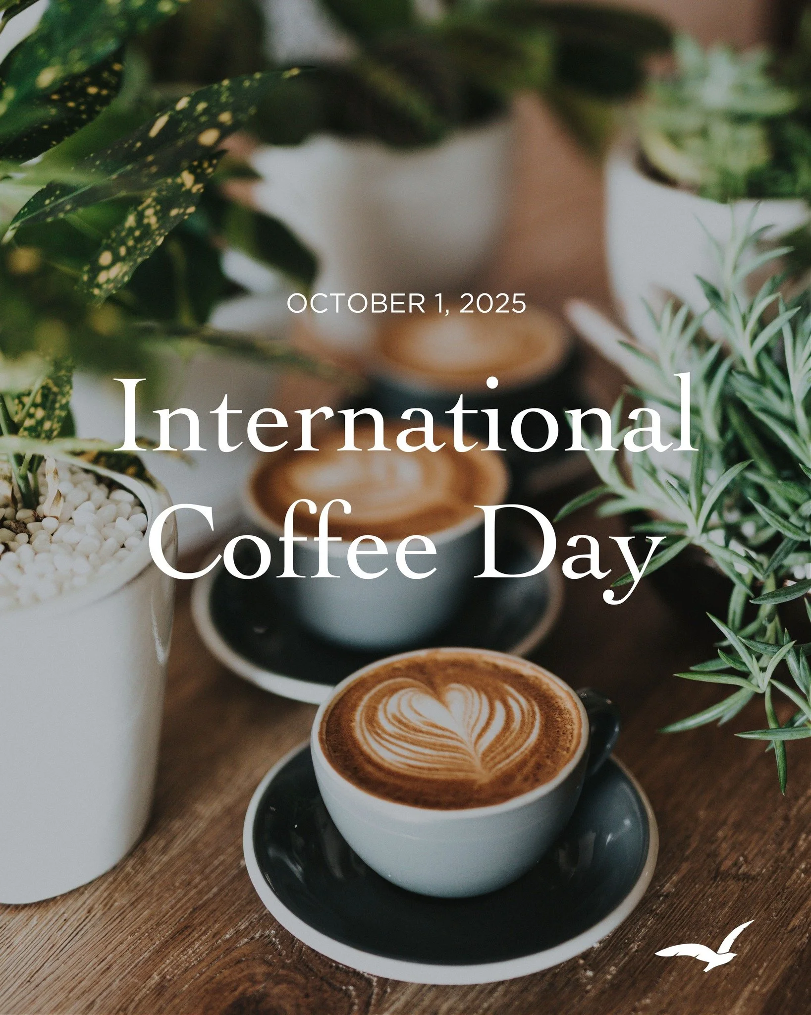 Skip One Cup, Change One Life ☕

Tomorrow (October 1st) is International Coffee Day! ✨

But here's a brew-tiful thought: What if your daily coffee could do more than just fuel YOUR morning? 

For less than your daily latte, you can completely rewrite