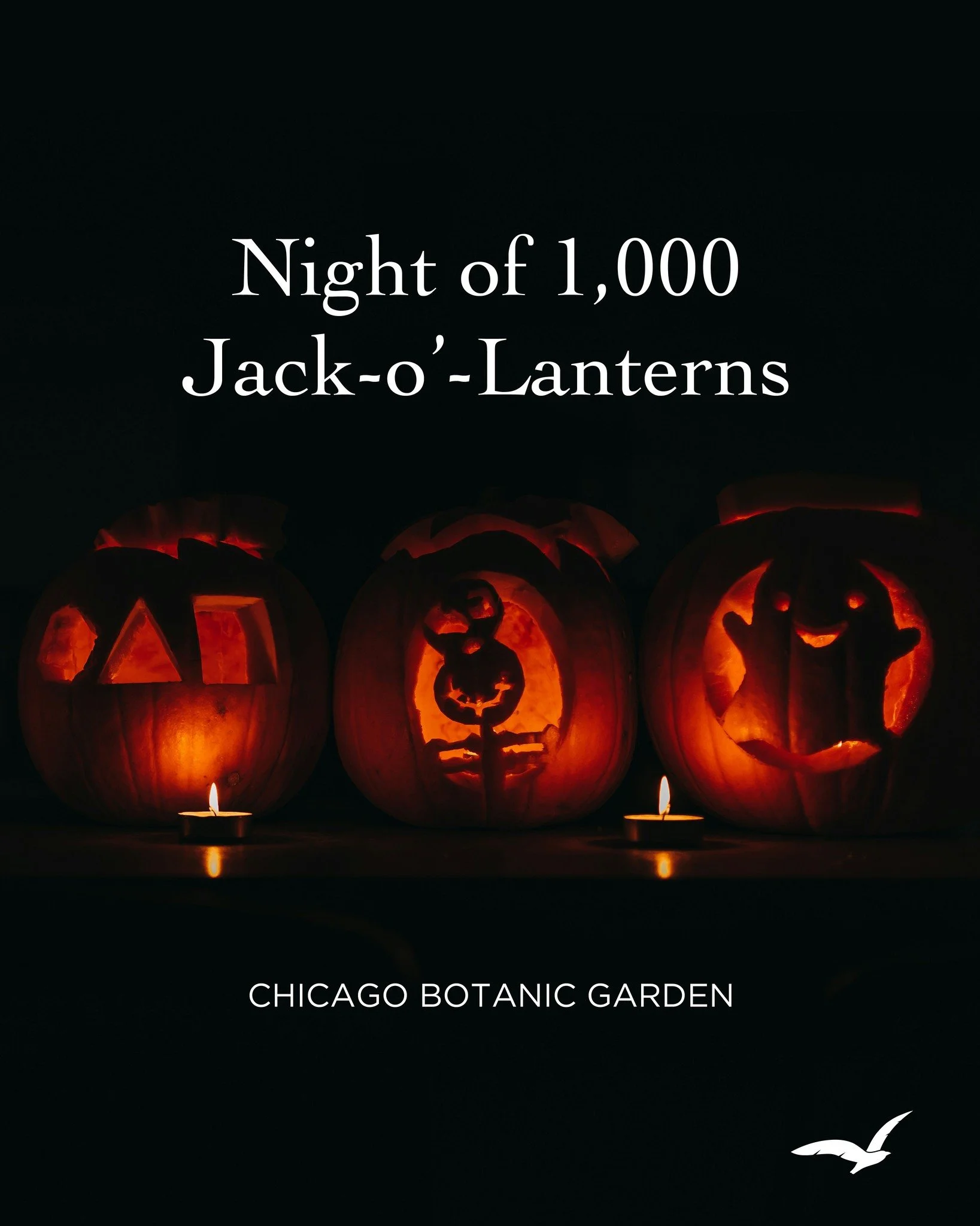 Pumpkin Head! 🎃

Head to Chicago Botanic Garden for A Night of 1,000 Jack-o'-Lanterns
📅  October 8 &ndash; 12, 15 &ndash; 19, 22 &ndash; 26
6:30 &ndash; 10:30 p.m.
@chicagobotanic

Take a spooky walk on a bewitching path aglow with local artist-car